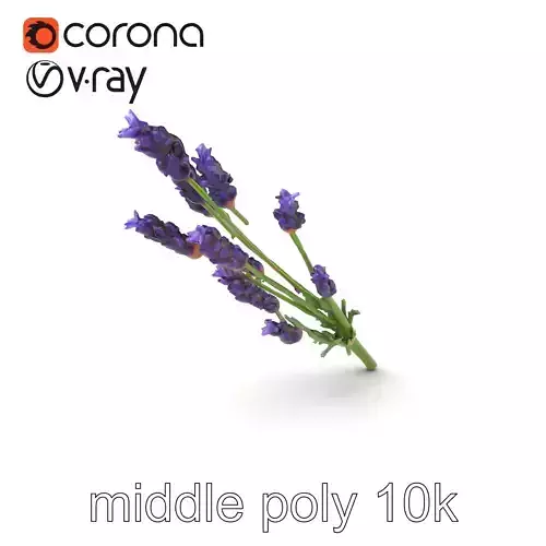 Lavender Flower Detailed Sculpture model pack Low-poly 3D model Lavender Flower Detailed Sculpture model pack Low-poly 3D model