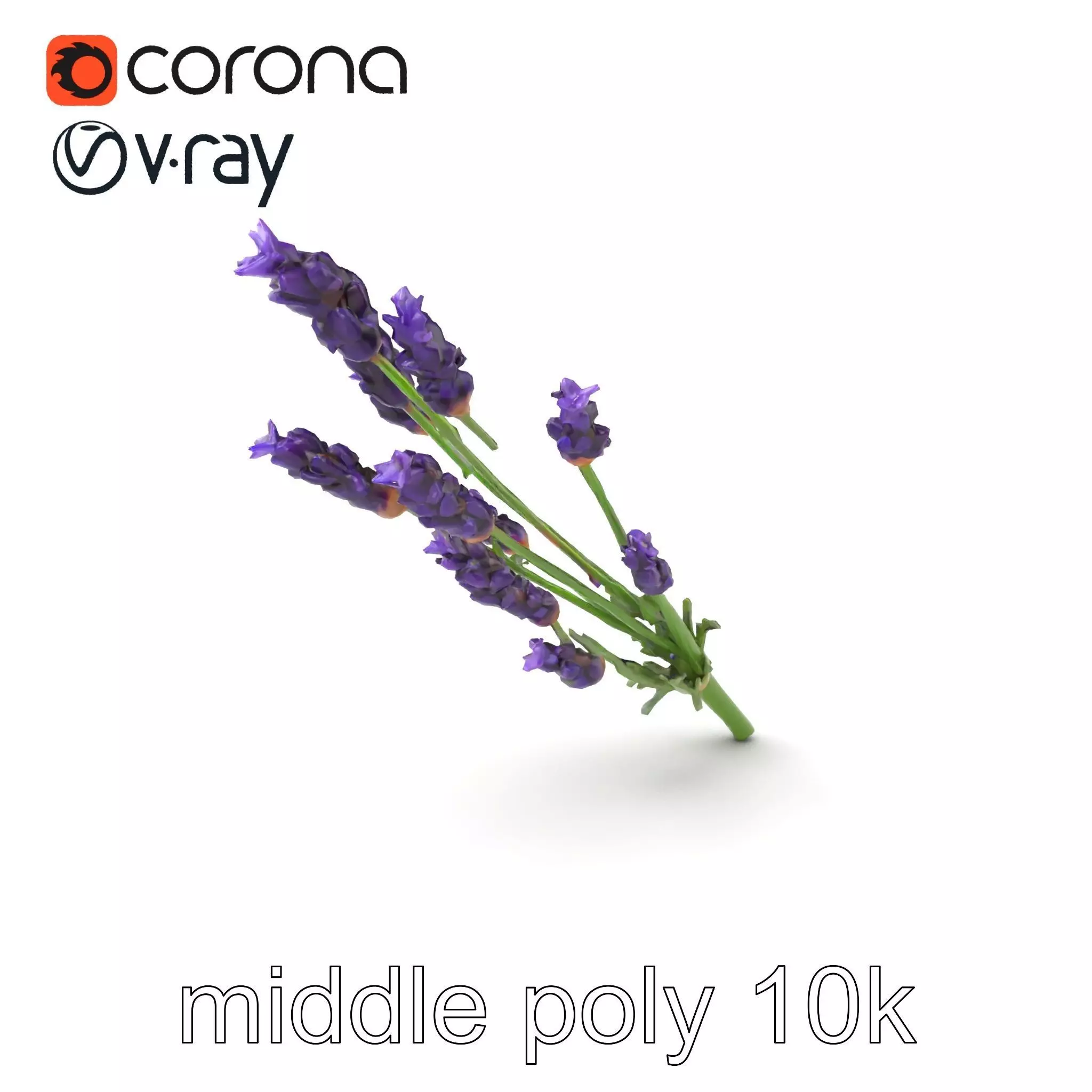Lavender Flower Detailed Sculpture model pack Low-poly 3D model_0