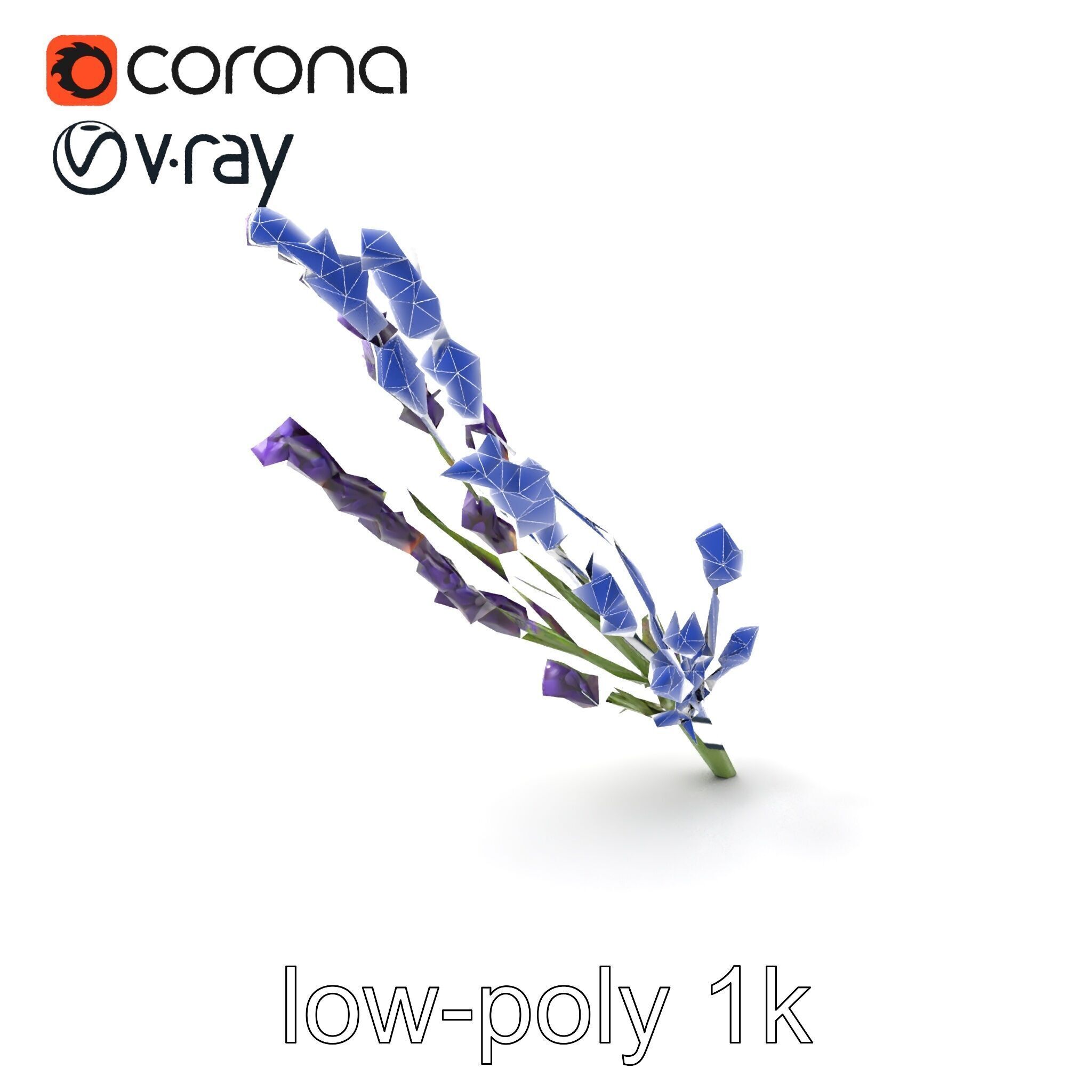Lavender Flower Detailed Sculpture model pack Low-poly 3D model_6