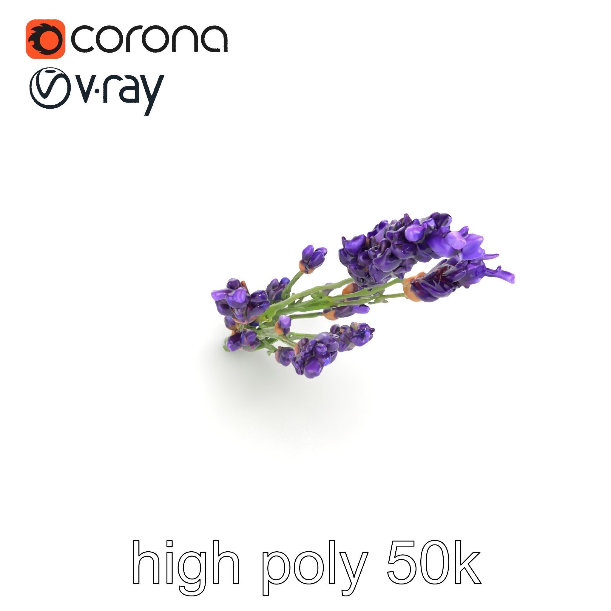 Lavender Flower Detailed Sculpture model pack Low-poly 3D model_11
