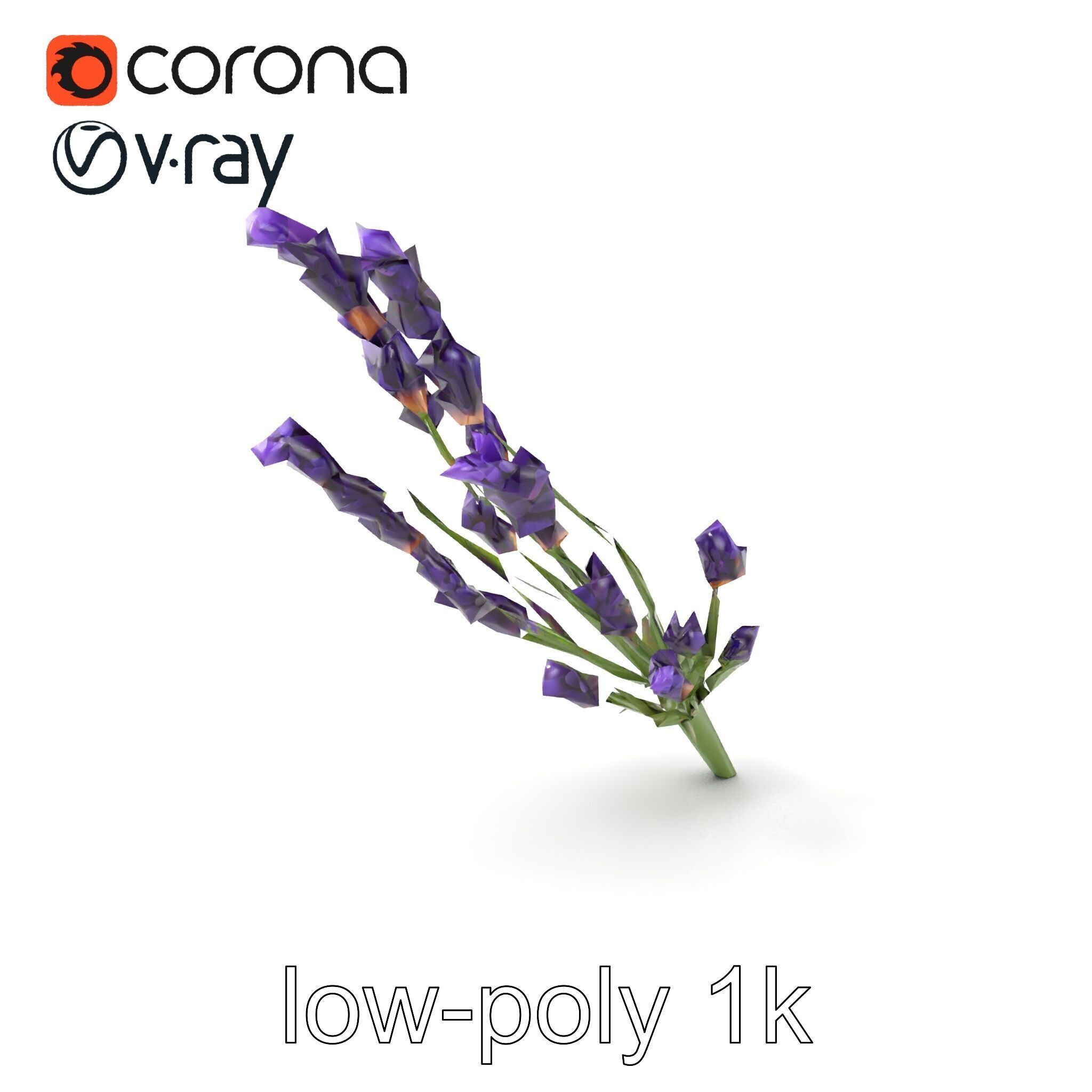 Lavender Flower Detailed Sculpture model pack Low-poly 3D model_4