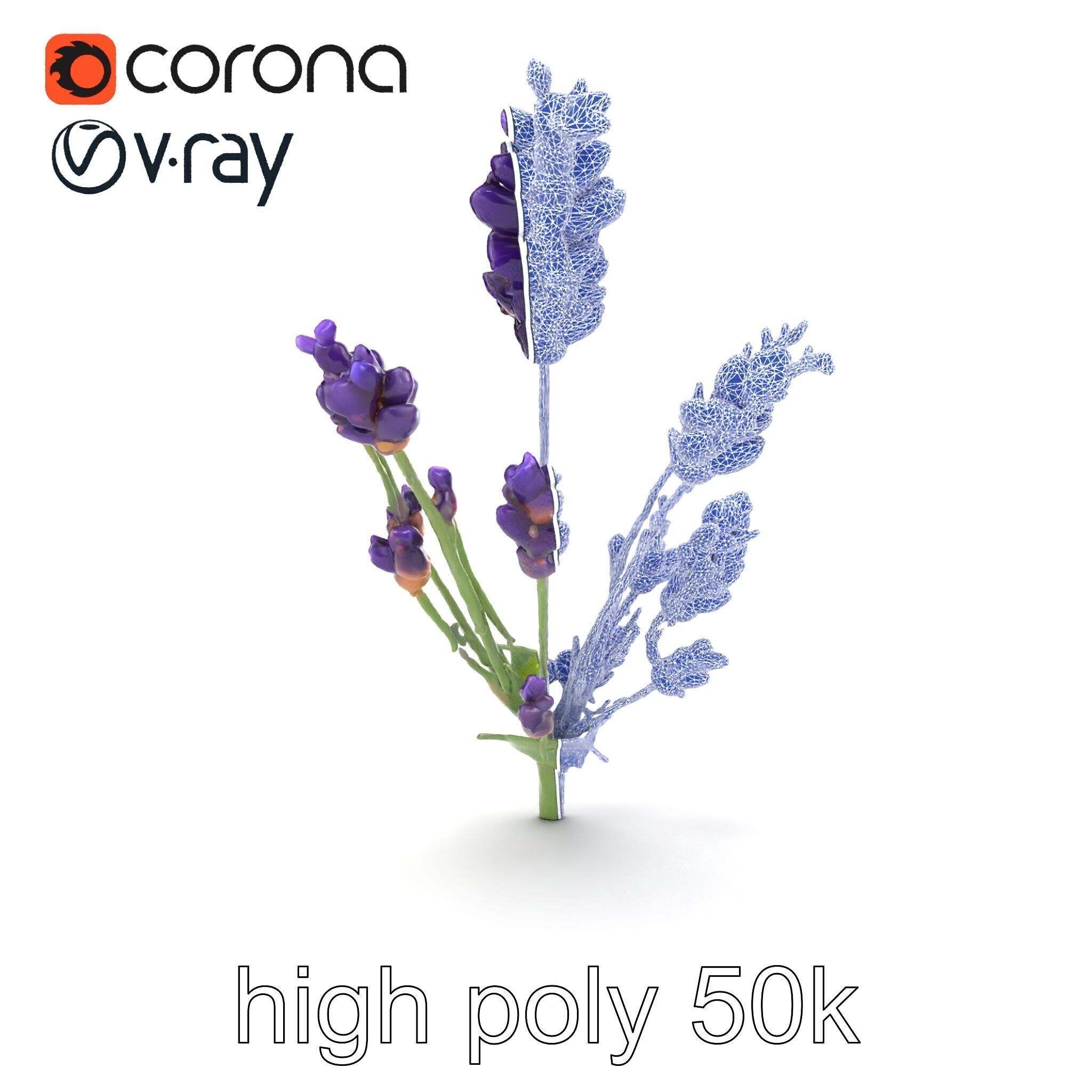 Lavender Flower Detailed Sculpture model pack Low-poly 3D model_22