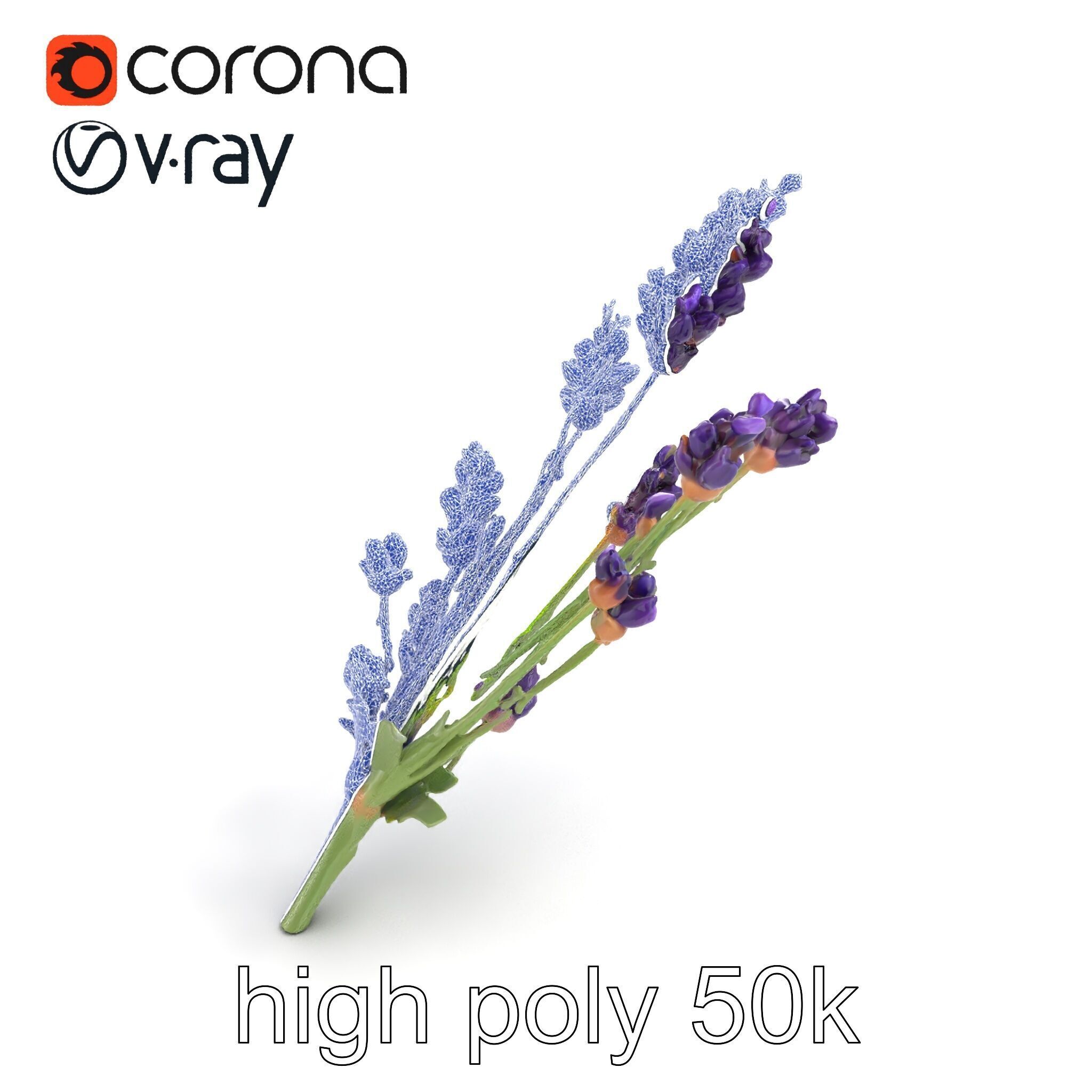 Lavender Flower Detailed Sculpture model pack Low-poly 3D model_25