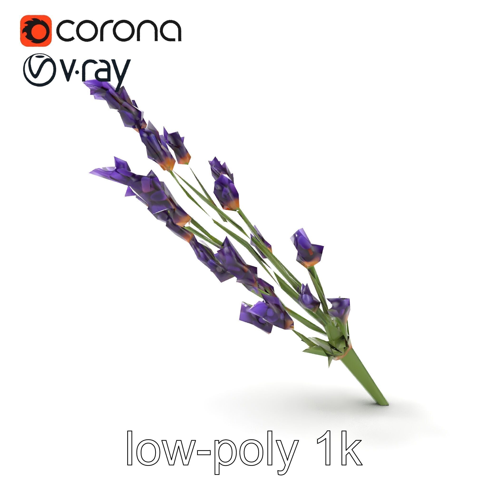 Lavender Flower Detailed Sculpture model pack Low-poly 3D model_20