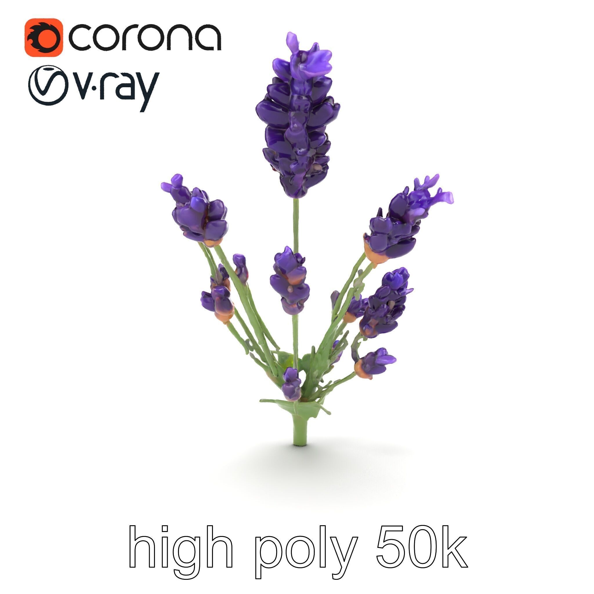 Lavender Flower Detailed Sculpture model pack Low-poly 3D model_26