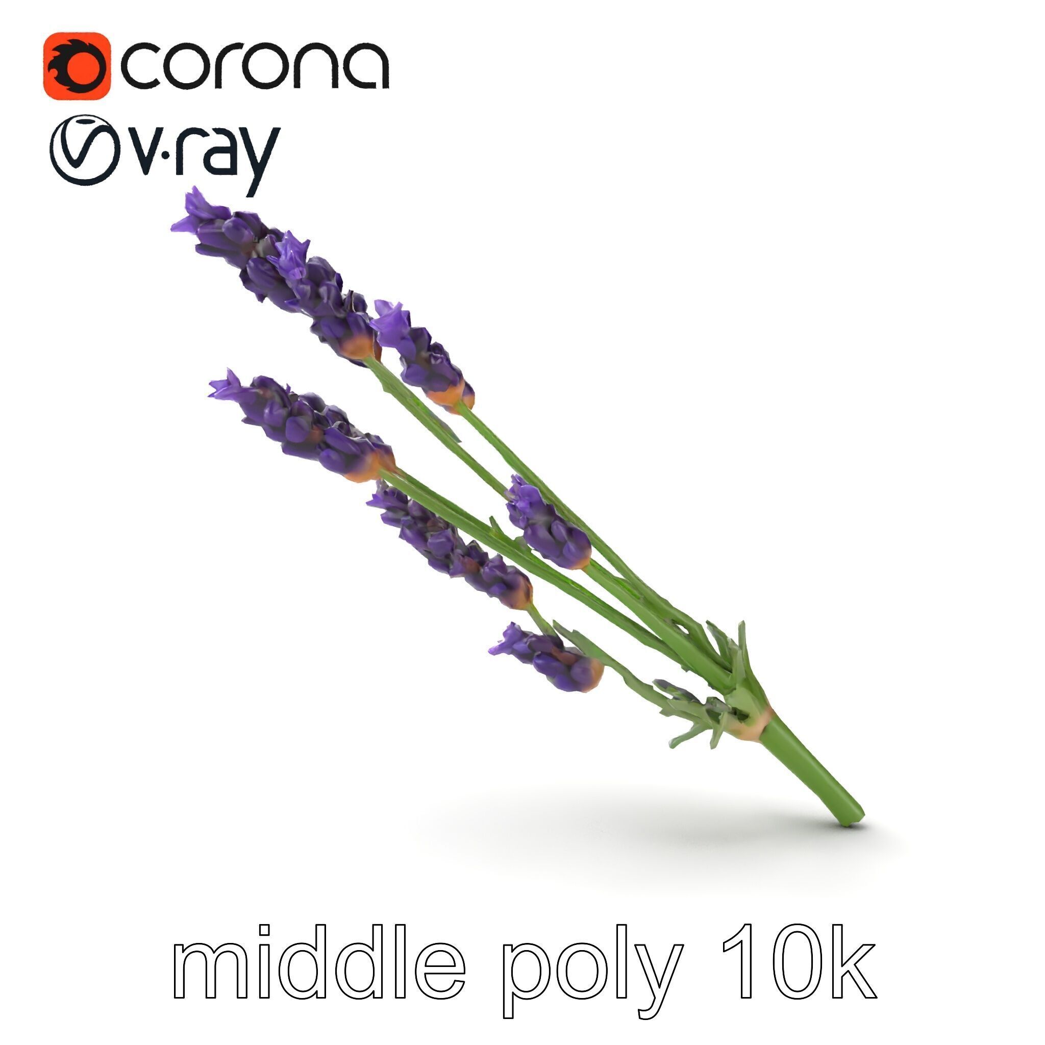 Lavender Flower Detailed Sculpture model pack Low-poly 3D model_15