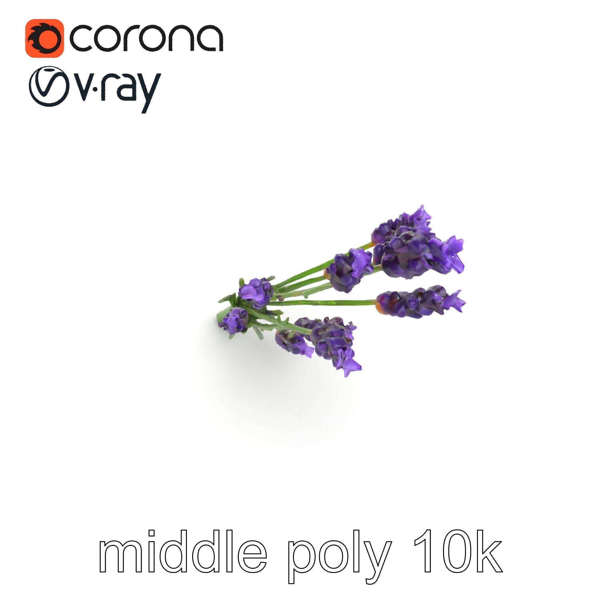 Lavender Flower Detailed Sculpture model pack Low-poly 3D model_14