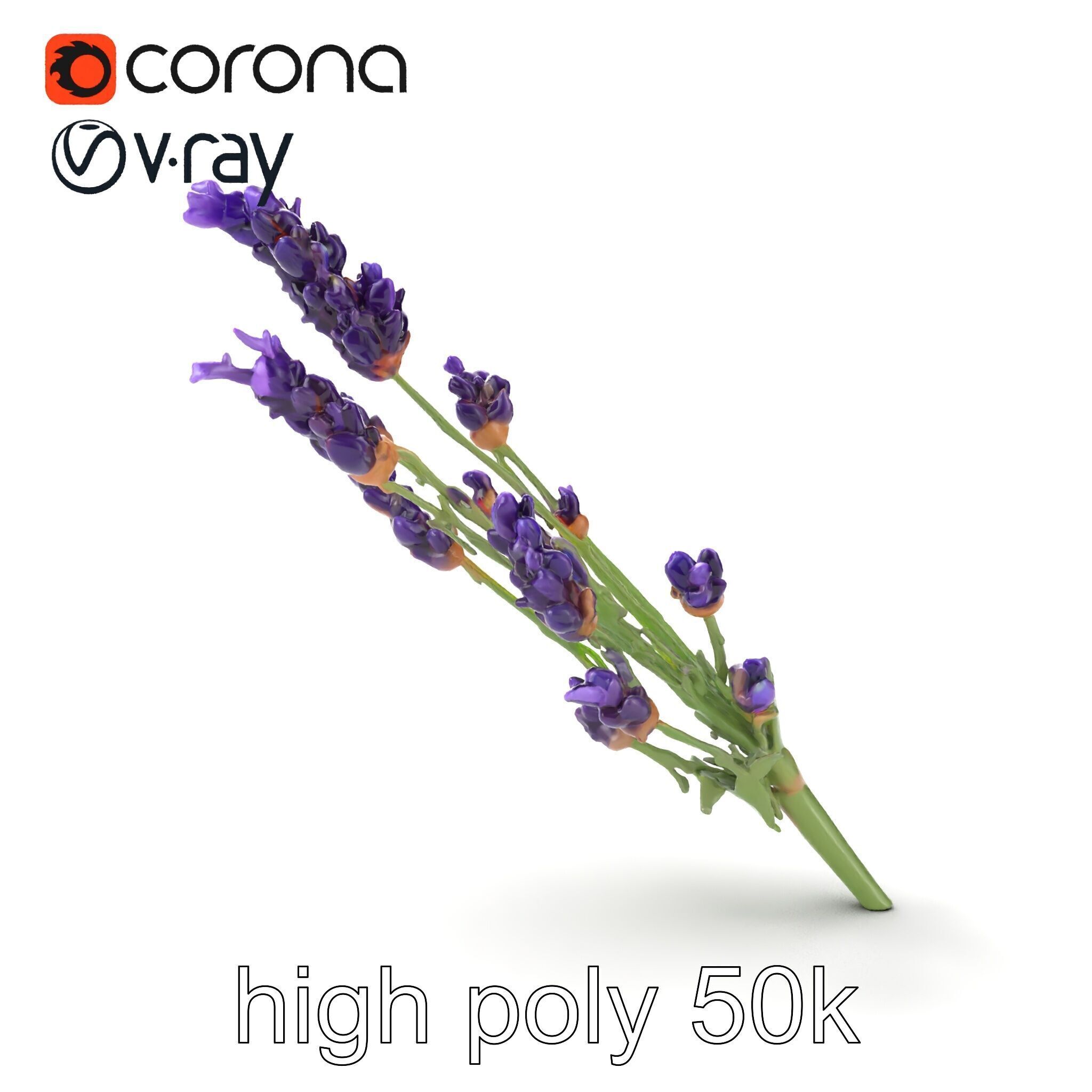 Lavender Flower Detailed Sculpture model pack Low-poly 3D model_17