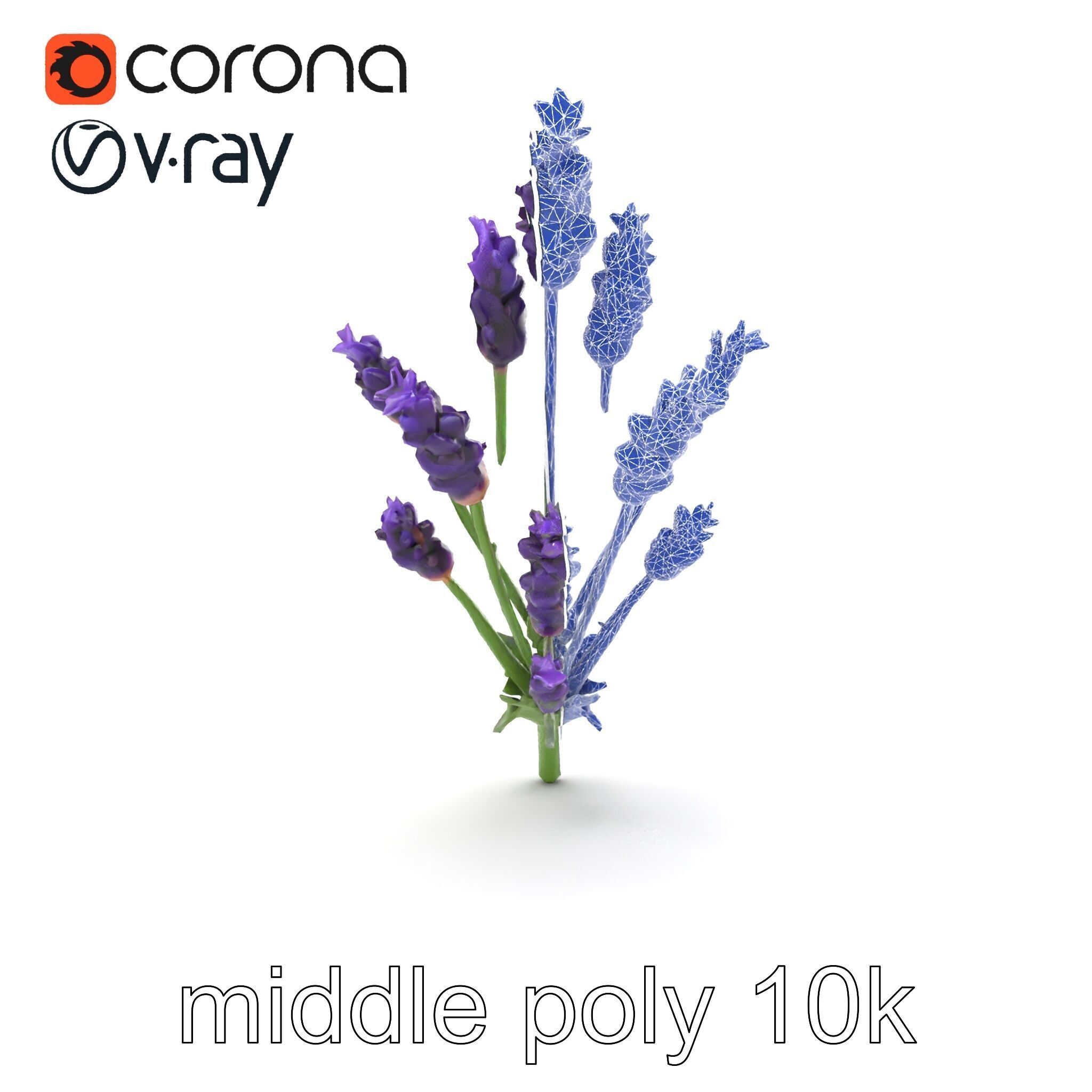 Lavender Flower Detailed Sculpture model pack Low-poly 3D model_30