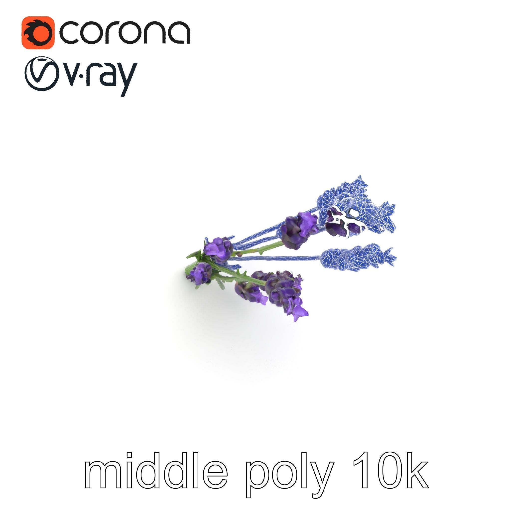 Lavender Flower Detailed Sculpture model pack Low-poly 3D model_29