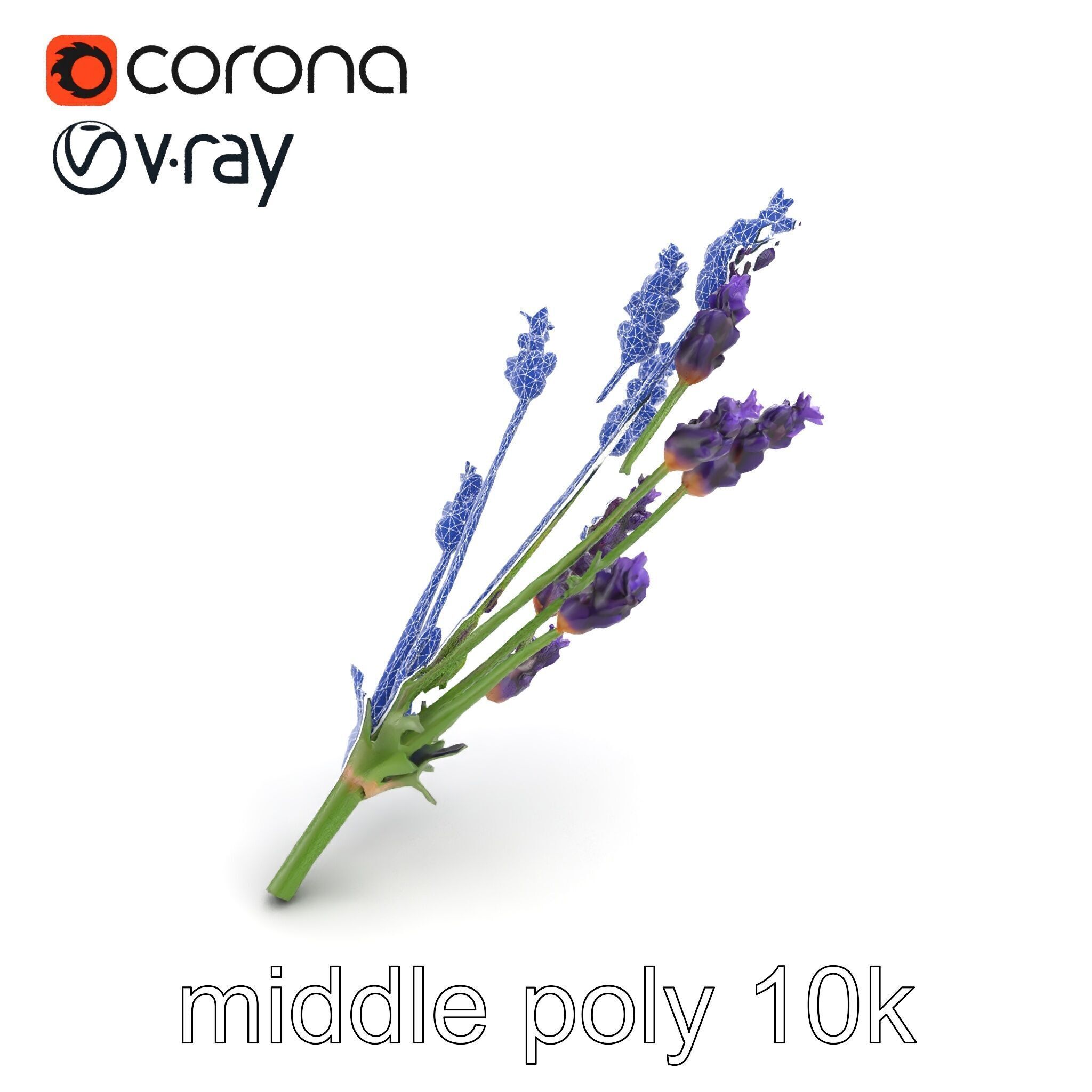 Lavender Flower Detailed Sculpture model pack Low-poly 3D model_10