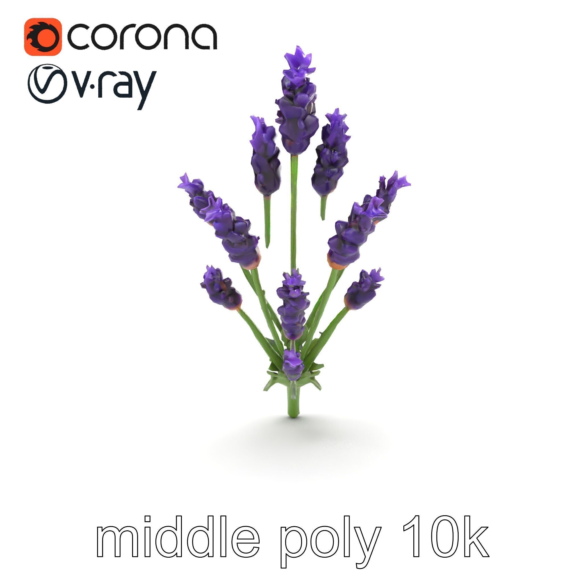 Lavender Flower Detailed Sculpture model pack Low-poly 3D model_21