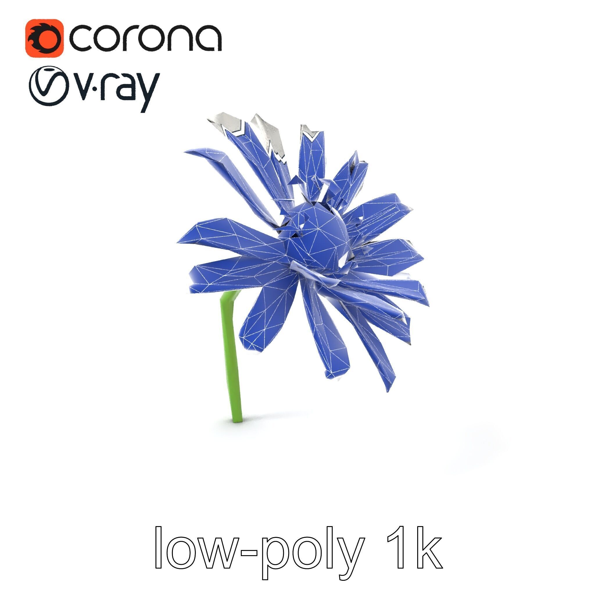 Lavandula White Flower Detailed Petals model pack Low-poly 3D model_7