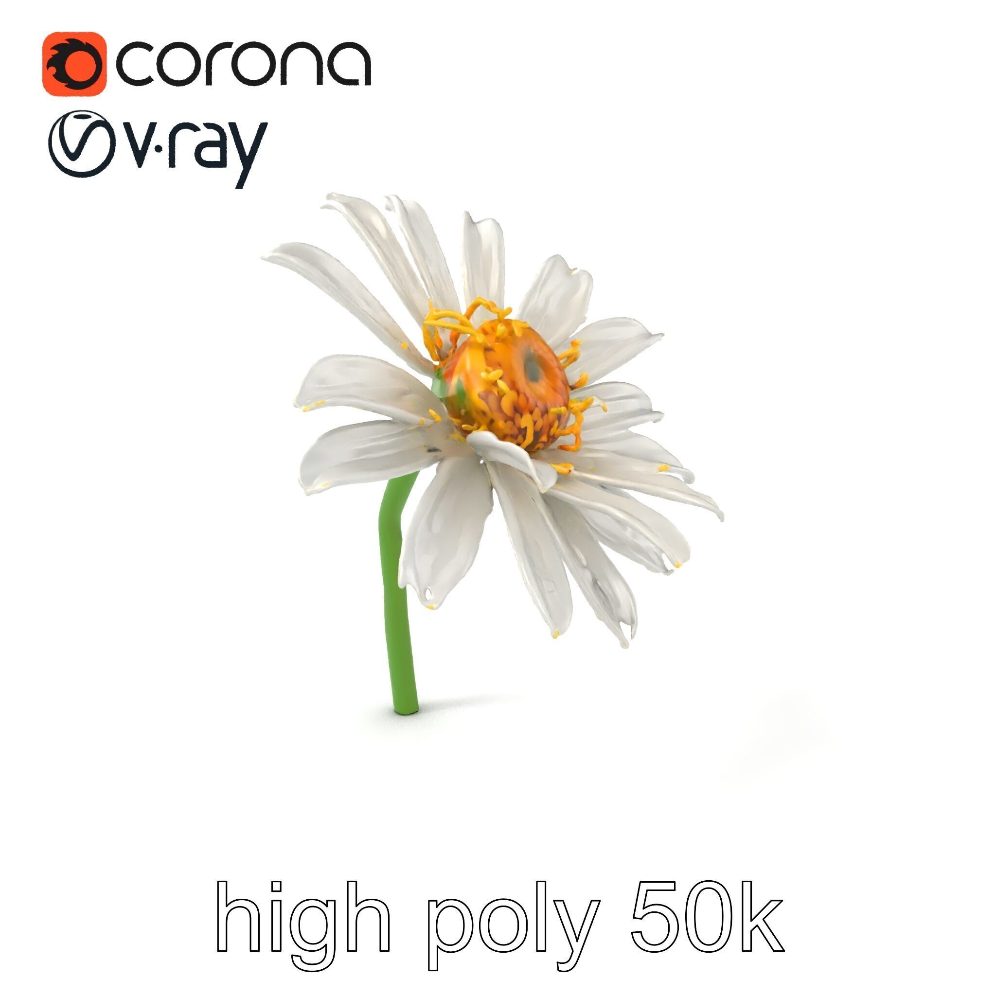 Lavandula White Flower Detailed Petals model pack Low-poly 3D model_2