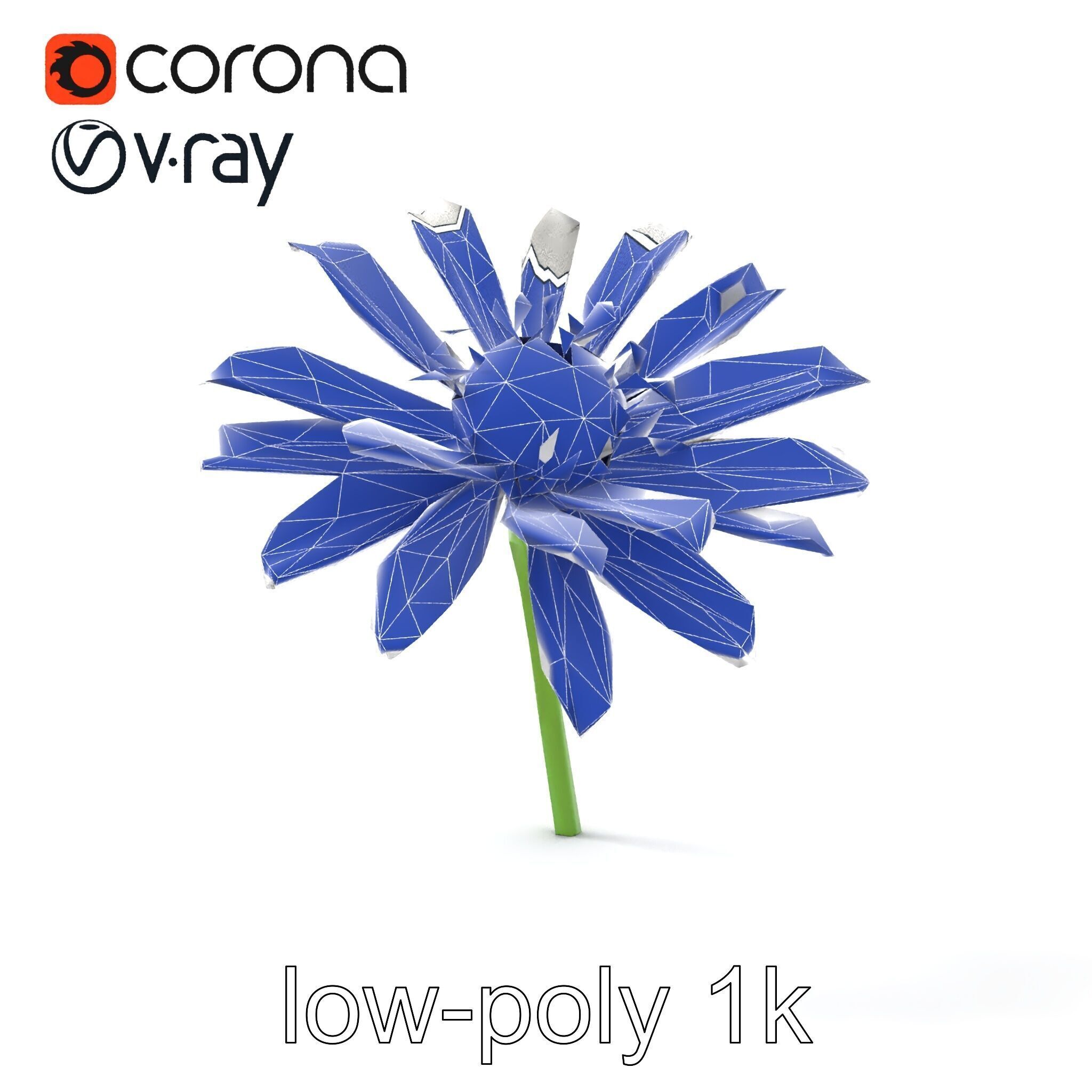 Lavandula White Flower Detailed Petals model pack Low-poly 3D model_18