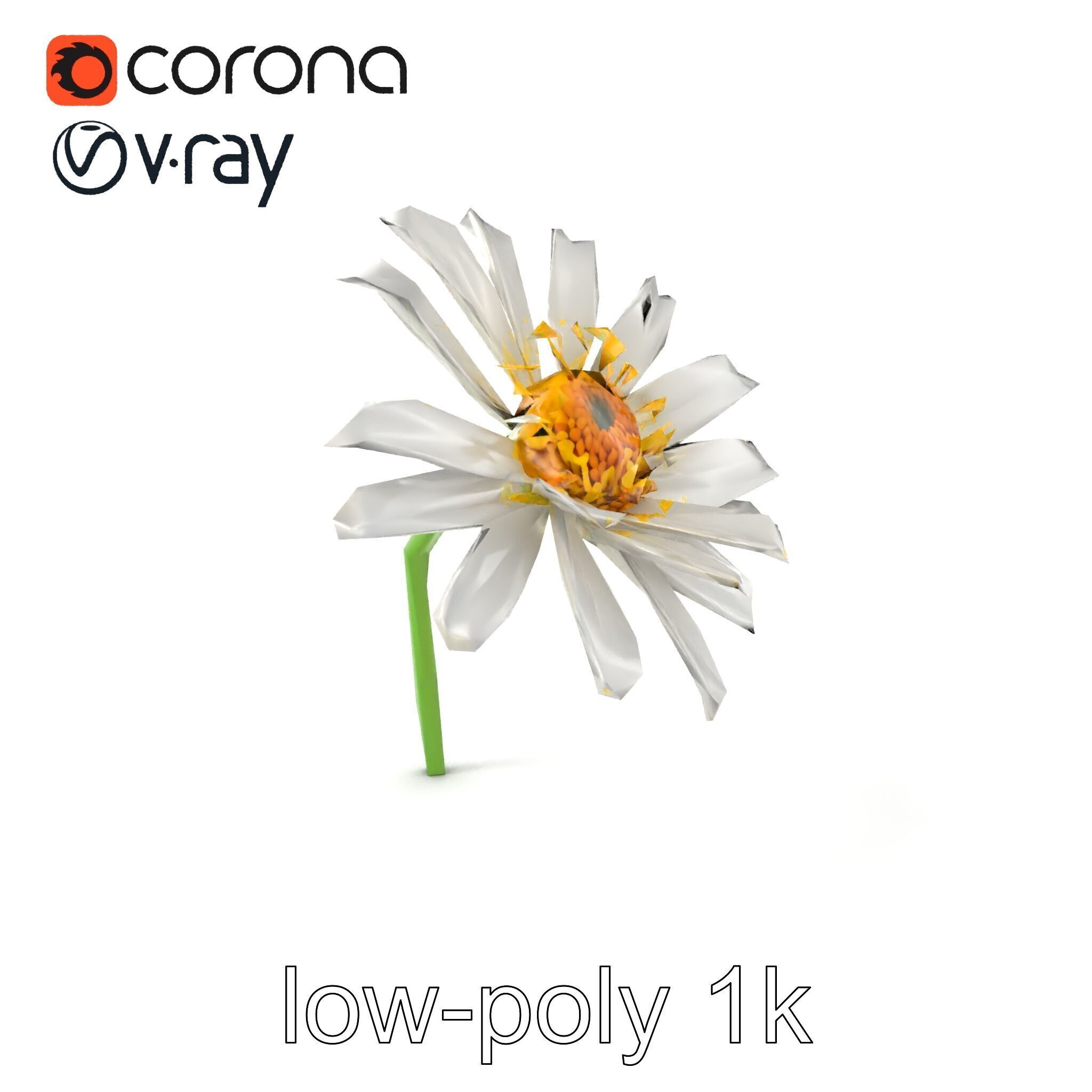Lavandula White Flower Detailed Petals model pack Low-poly 3D model_5
