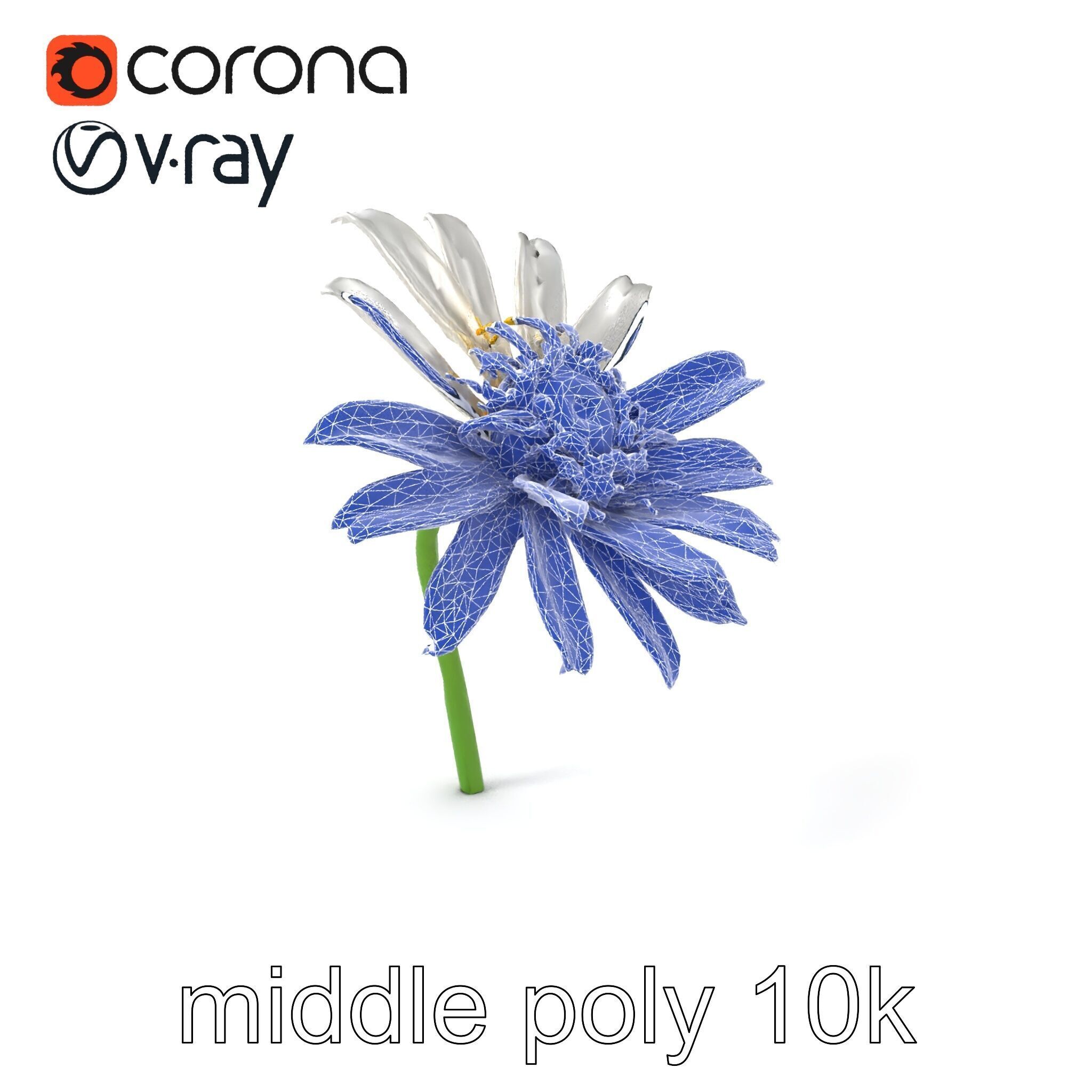 Lavandula White Flower Detailed Petals model pack Low-poly 3D model_6