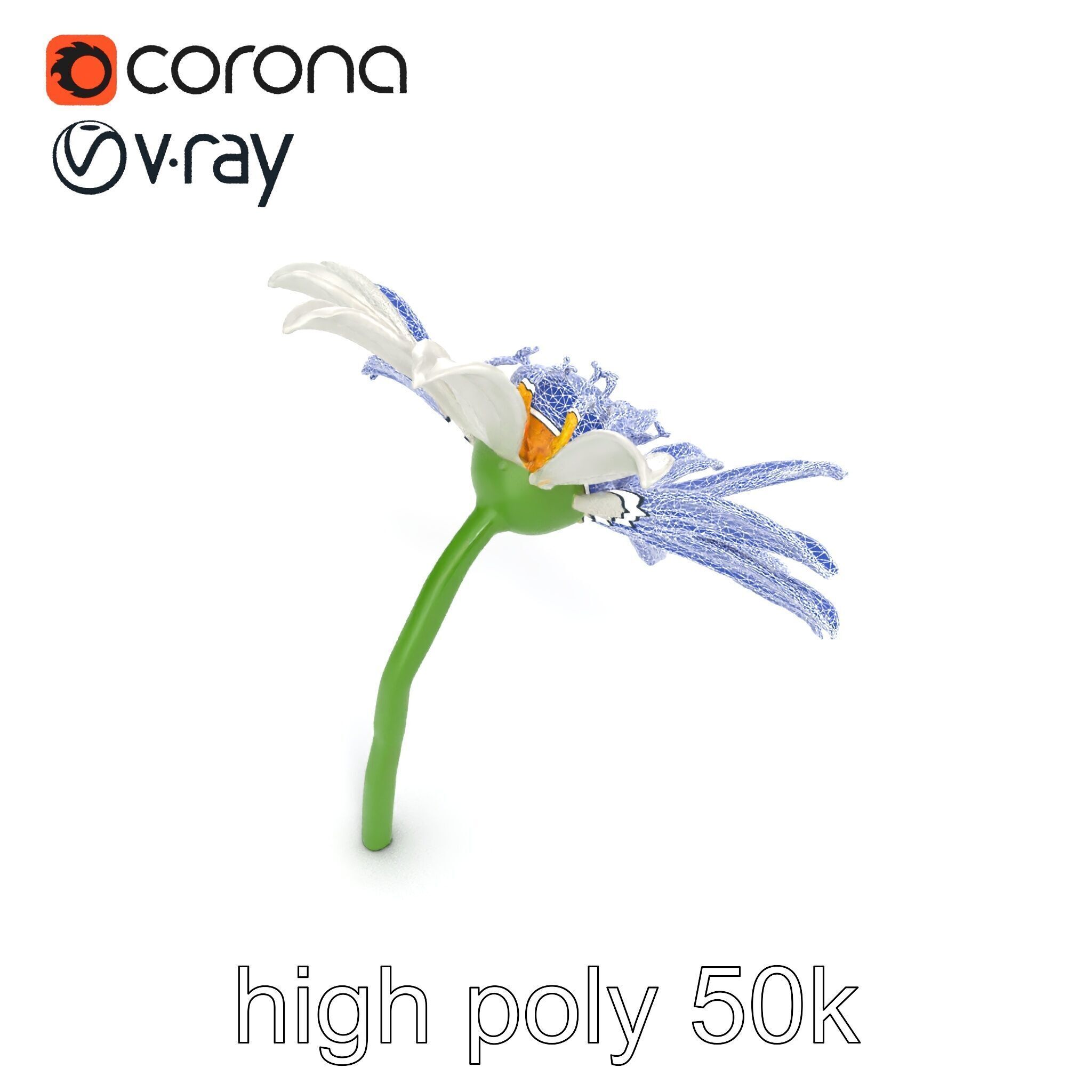 Lavandula White Flower Detailed Petals model pack Low-poly 3D model_12