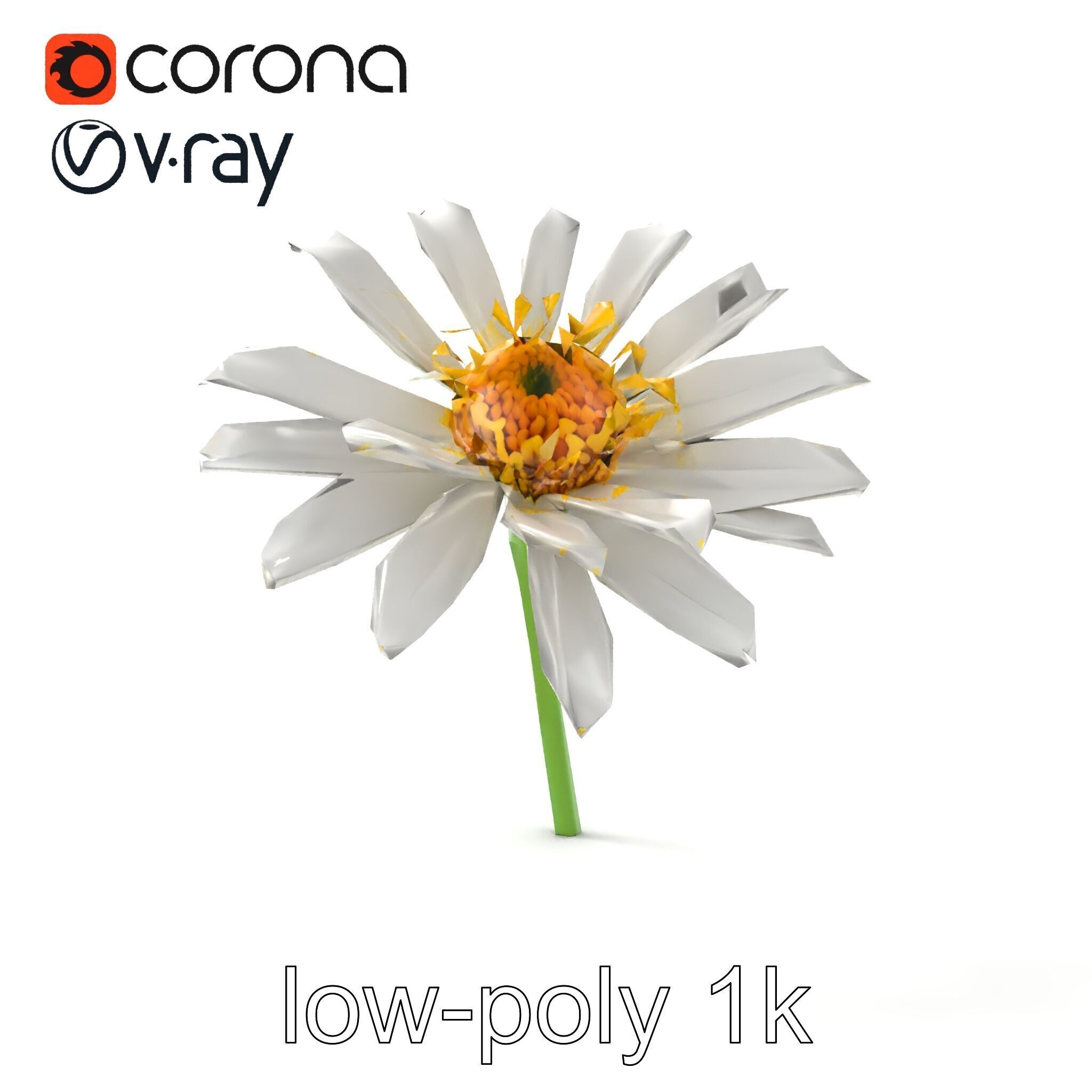 Lavandula White Flower Detailed Petals model pack Low-poly 3D model_28