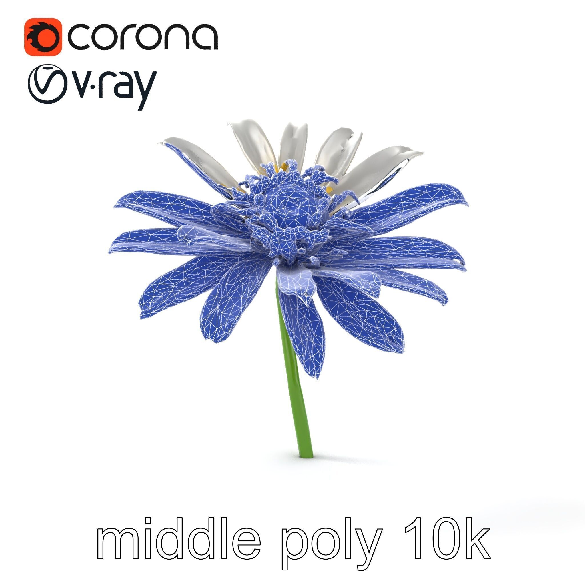 Lavandula White Flower Detailed Petals model pack Low-poly 3D model_25