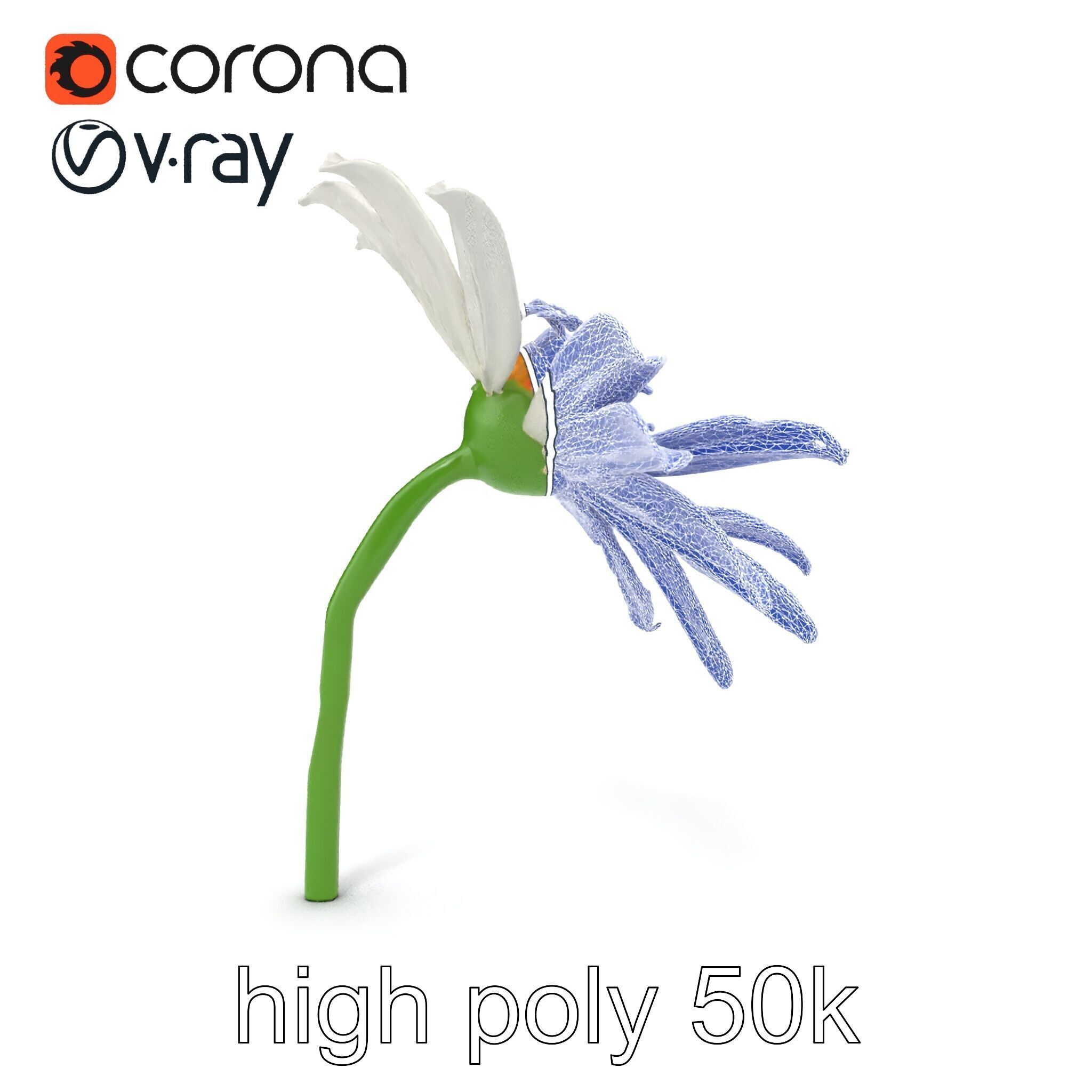 Lavandula White Flower Detailed Petals model pack Low-poly 3D model_24