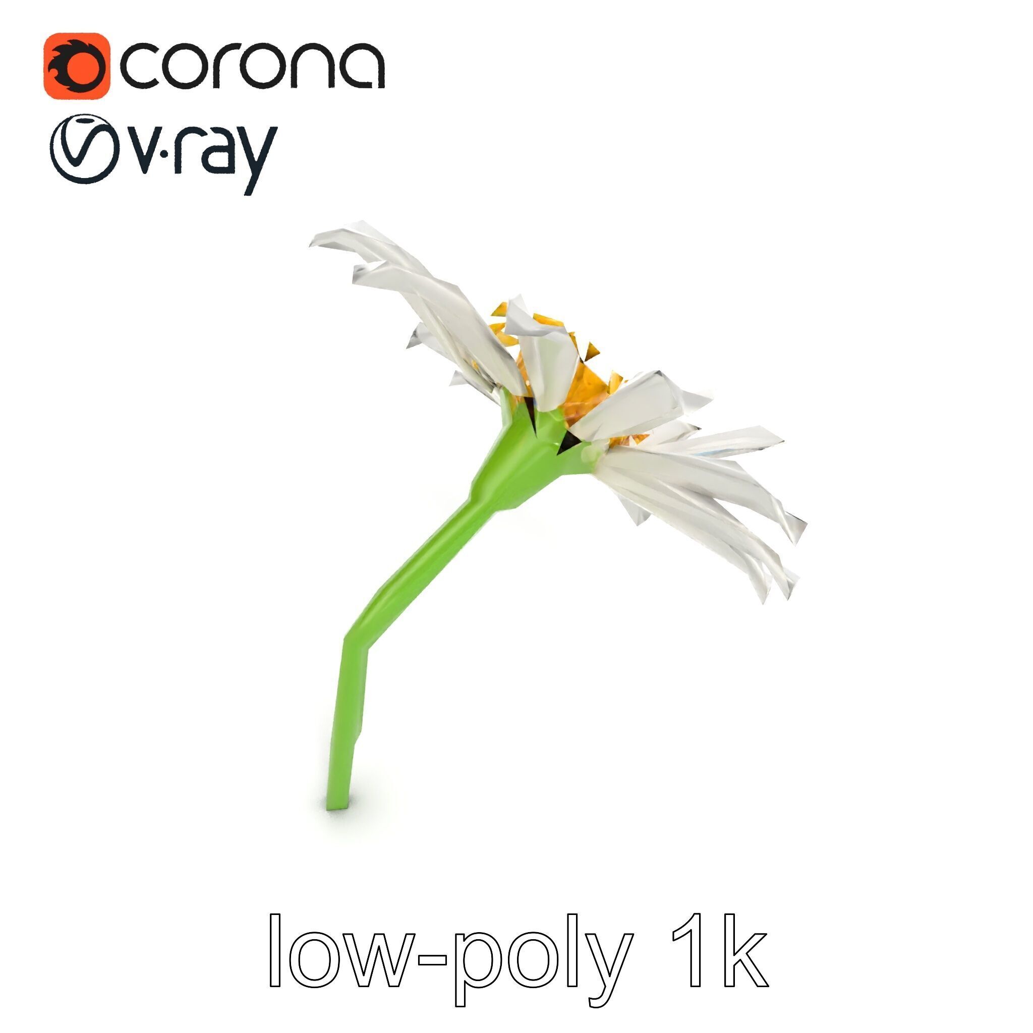 Lavandula White Flower Detailed Petals model pack Low-poly 3D model_17