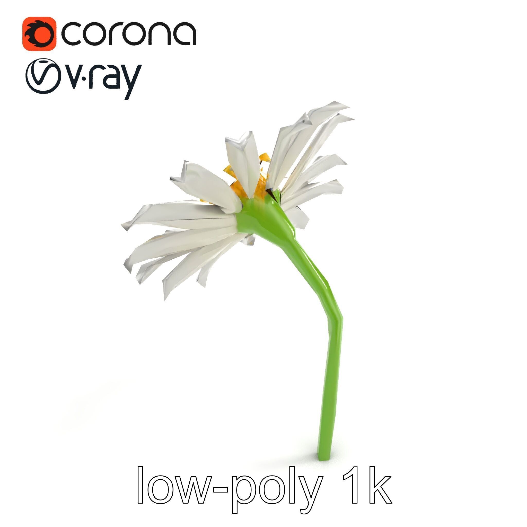 Lavandula White Flower Detailed Petals model pack Low-poly 3D model_9