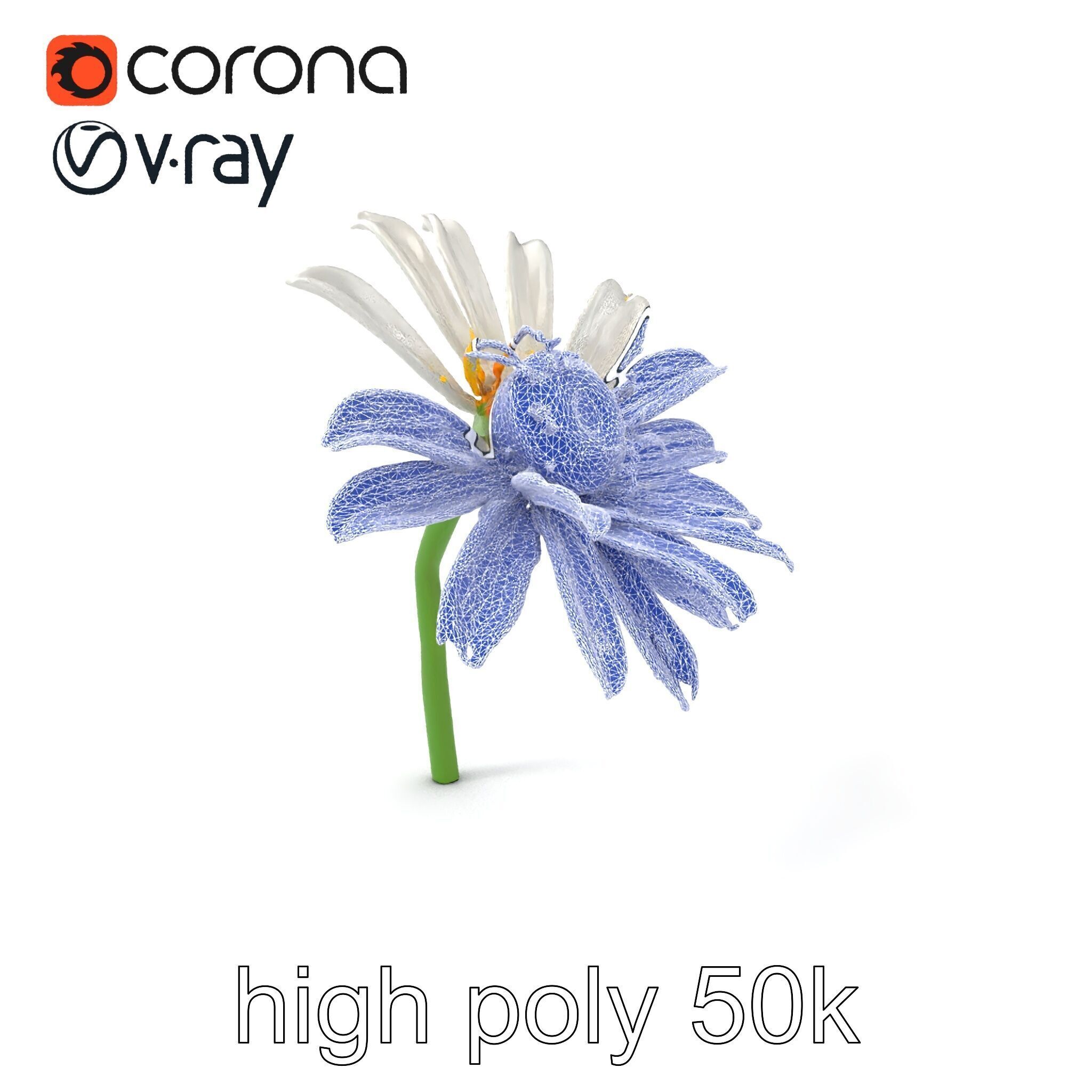 Lavandula White Flower Detailed Petals model pack Low-poly 3D model_10