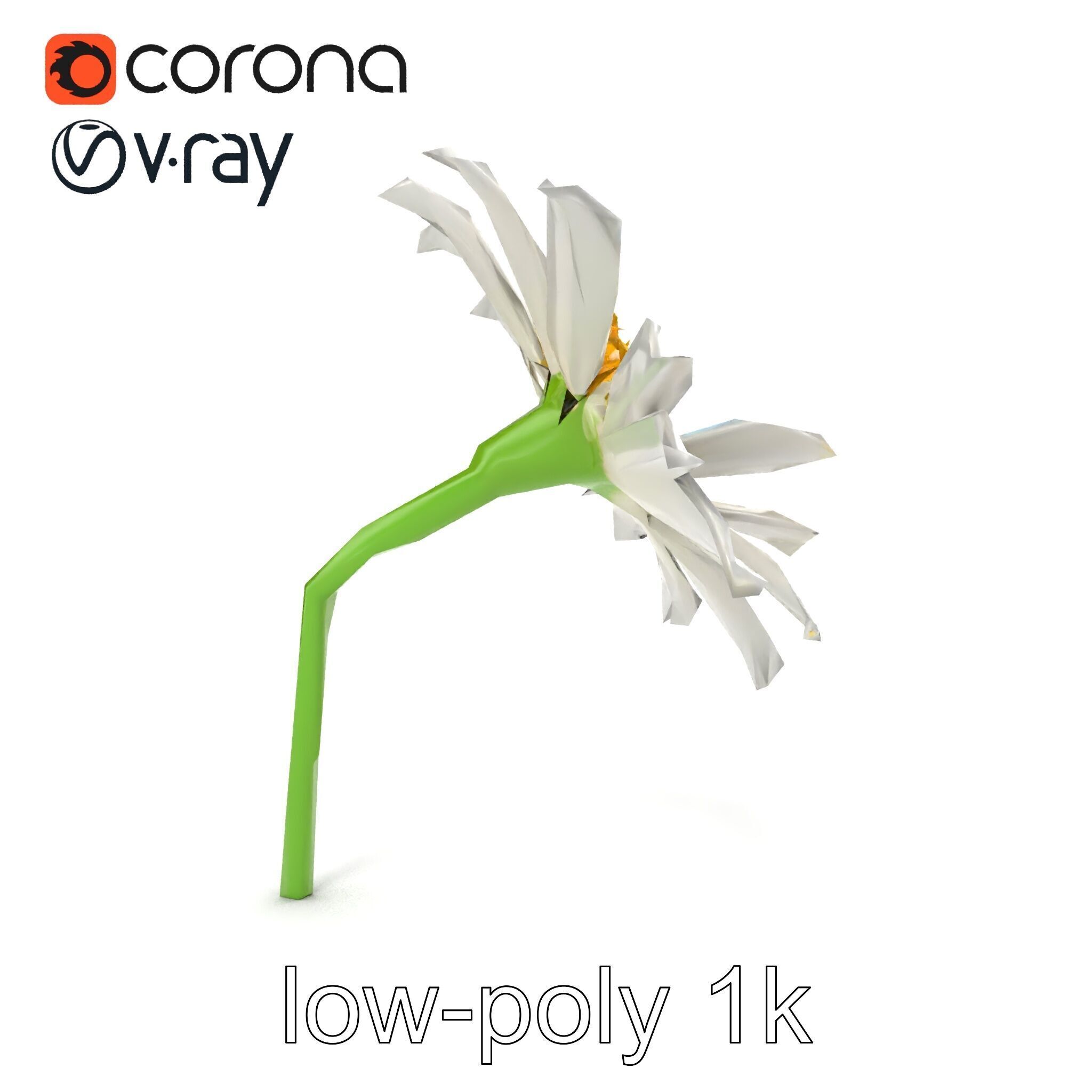 Lavandula White Flower Detailed Petals model pack Low-poly 3D model_22