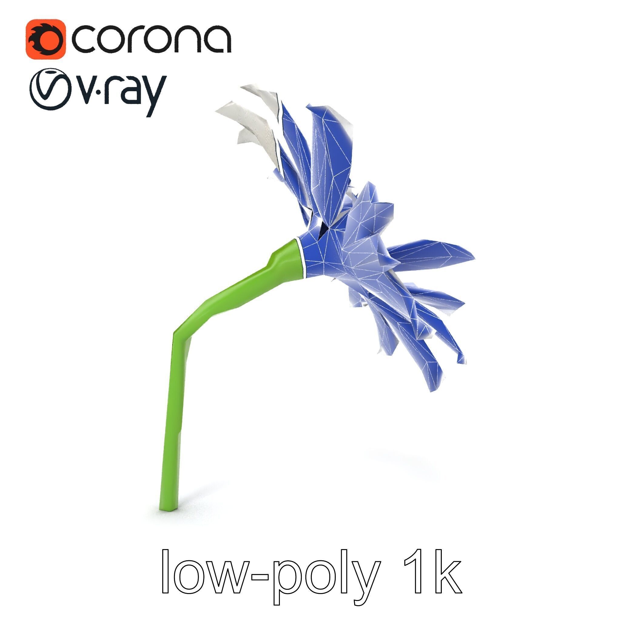 Lavandula White Flower Detailed Petals model pack Low-poly 3D model_20