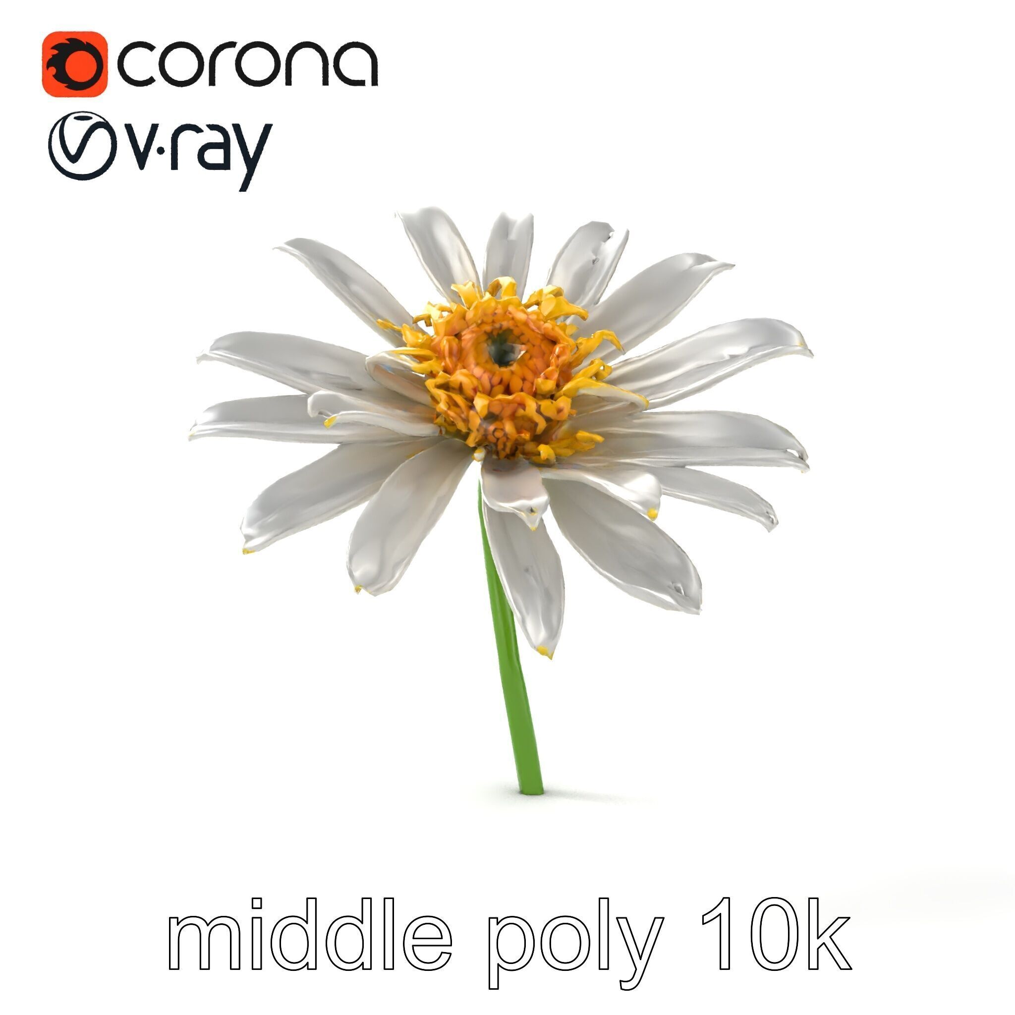 Lavandula White Flower Detailed Petals model pack Low-poly 3D model_30