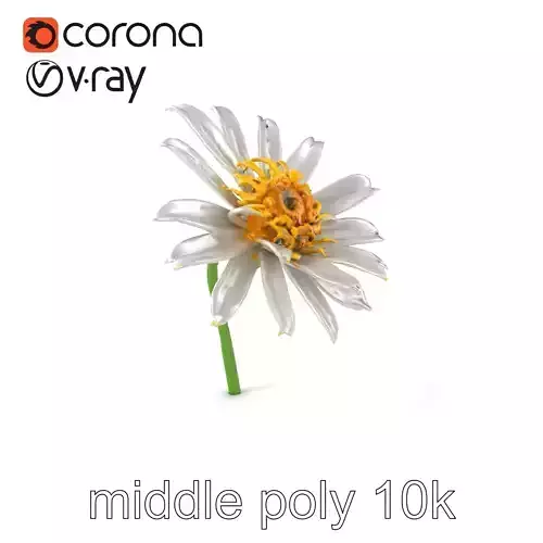 Lavandula White Flower Detailed Petals model pack Low-poly 3D model Lavandula White Flower Detailed Petals model pack Low-poly 3D model