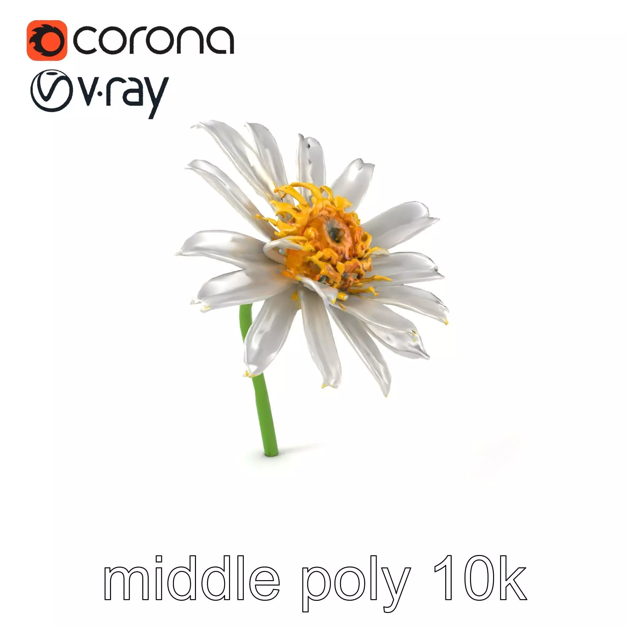 Lavandula White Flower Detailed Petals model pack Low-poly 3D model_0