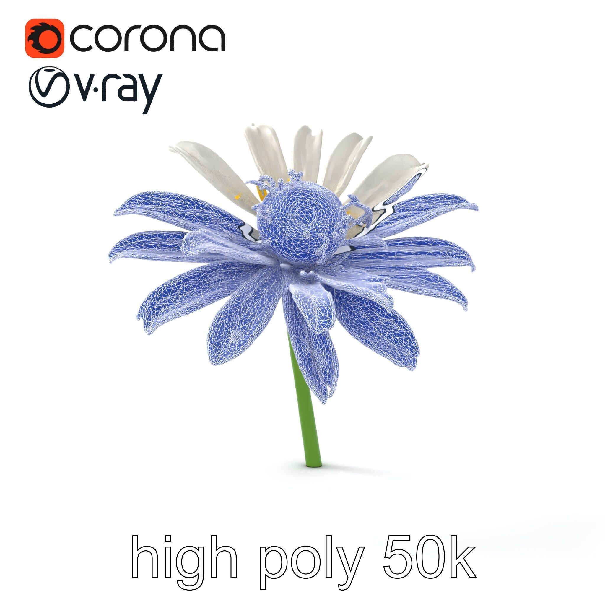 Lavandula White Flower Detailed Petals model pack Low-poly 3D model_26