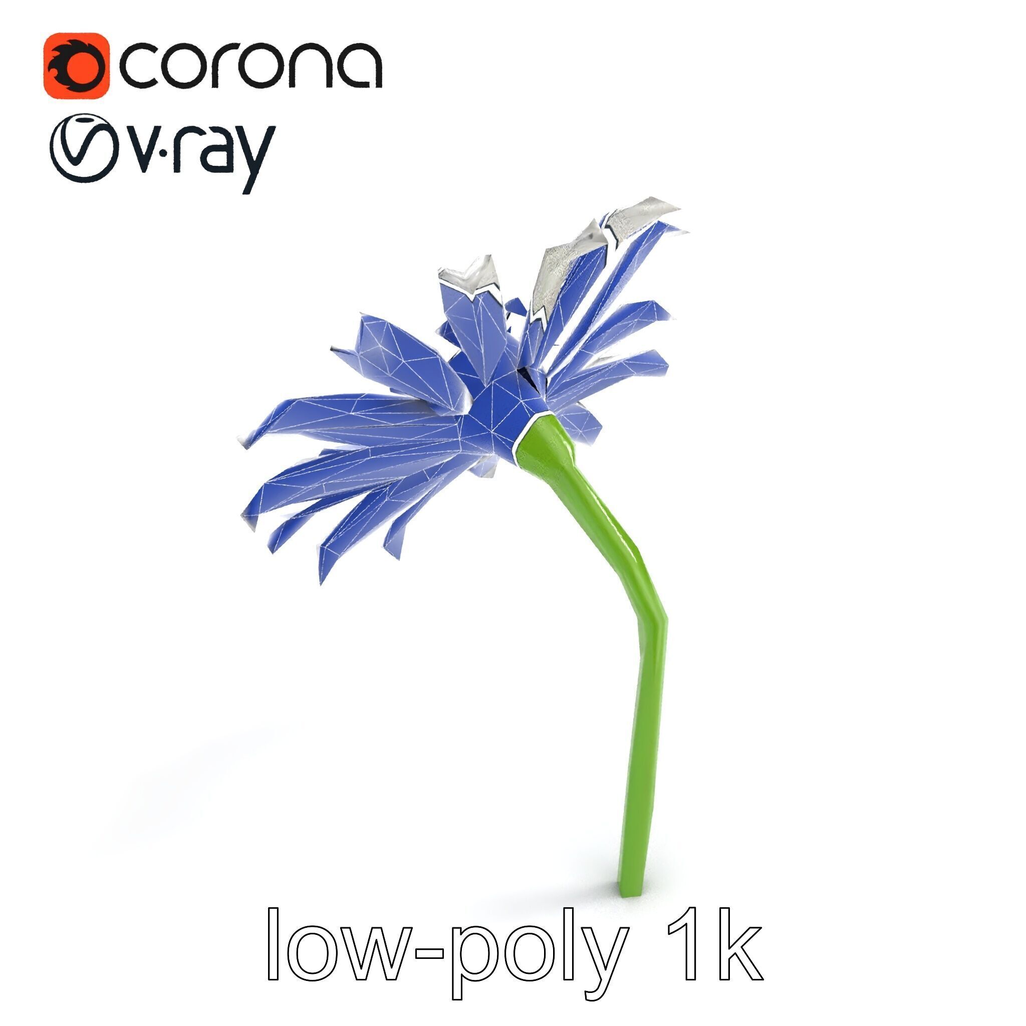 Lavandula White Flower Detailed Petals model pack Low-poly 3D model_29