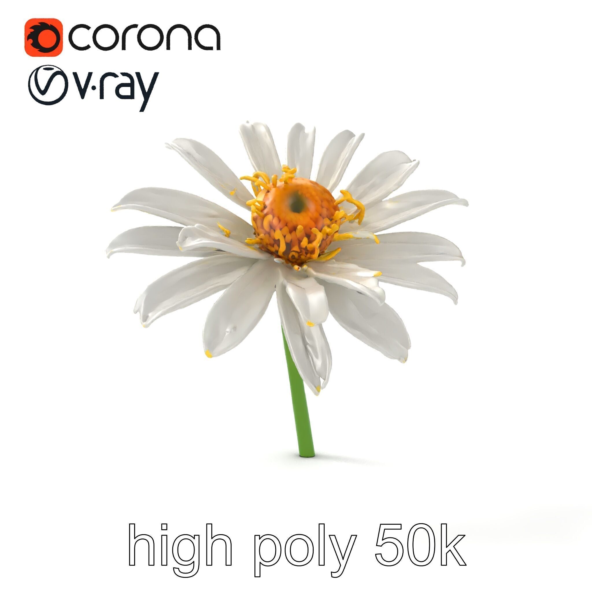 Lavandula White Flower Detailed Petals model pack Low-poly 3D model_21