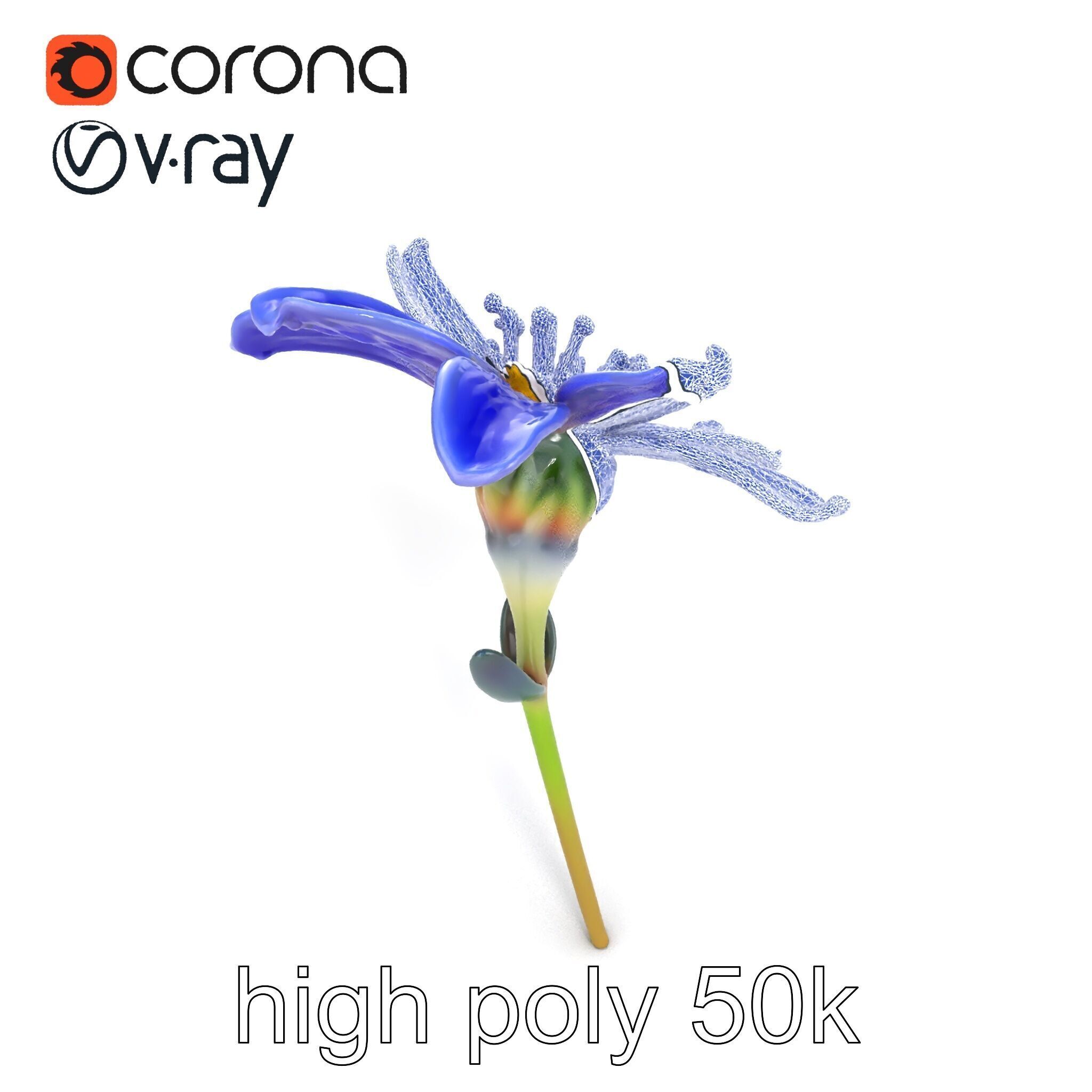 Lavandula Blue Flower Natural Texture model pack Low-poly 3D model_17