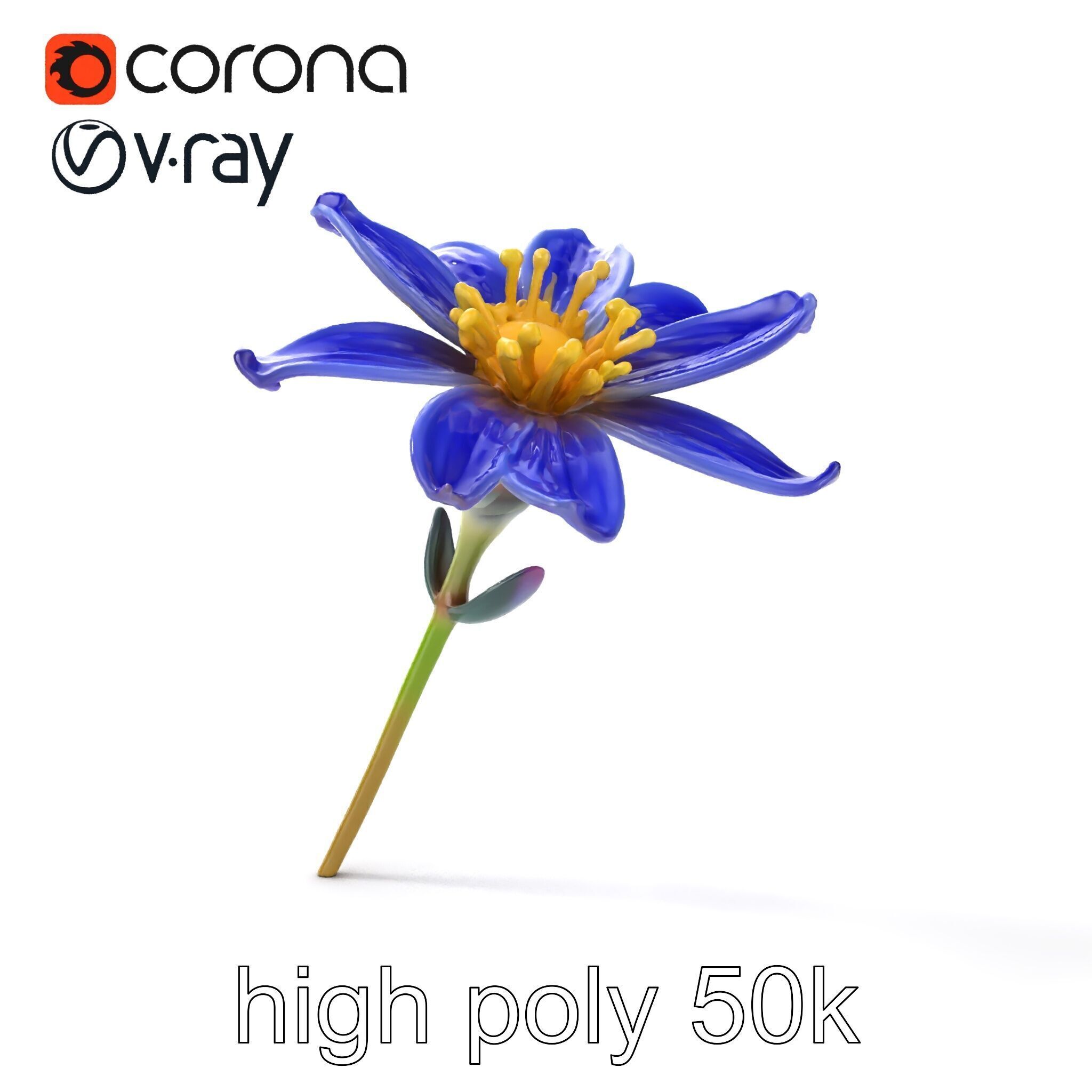 Lavandula Blue Flower Natural Texture model pack Low-poly 3D model_25