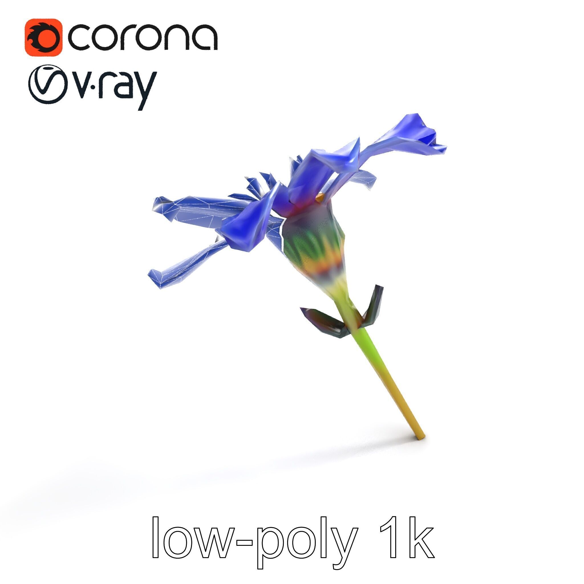 Lavandula Blue Flower Natural Texture model pack Low-poly 3D model_31