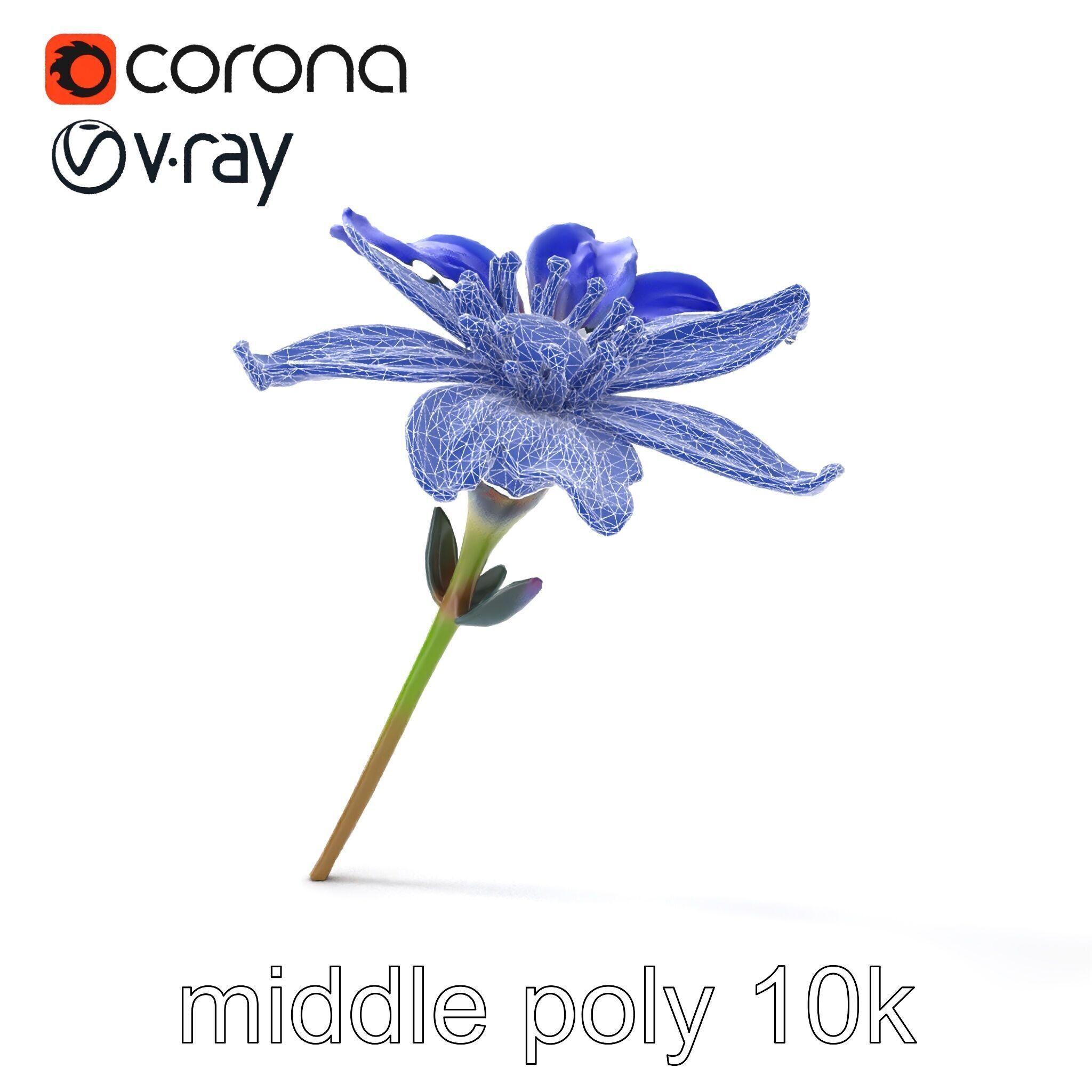 Lavandula Blue Flower Natural Texture model pack Low-poly 3D model_14