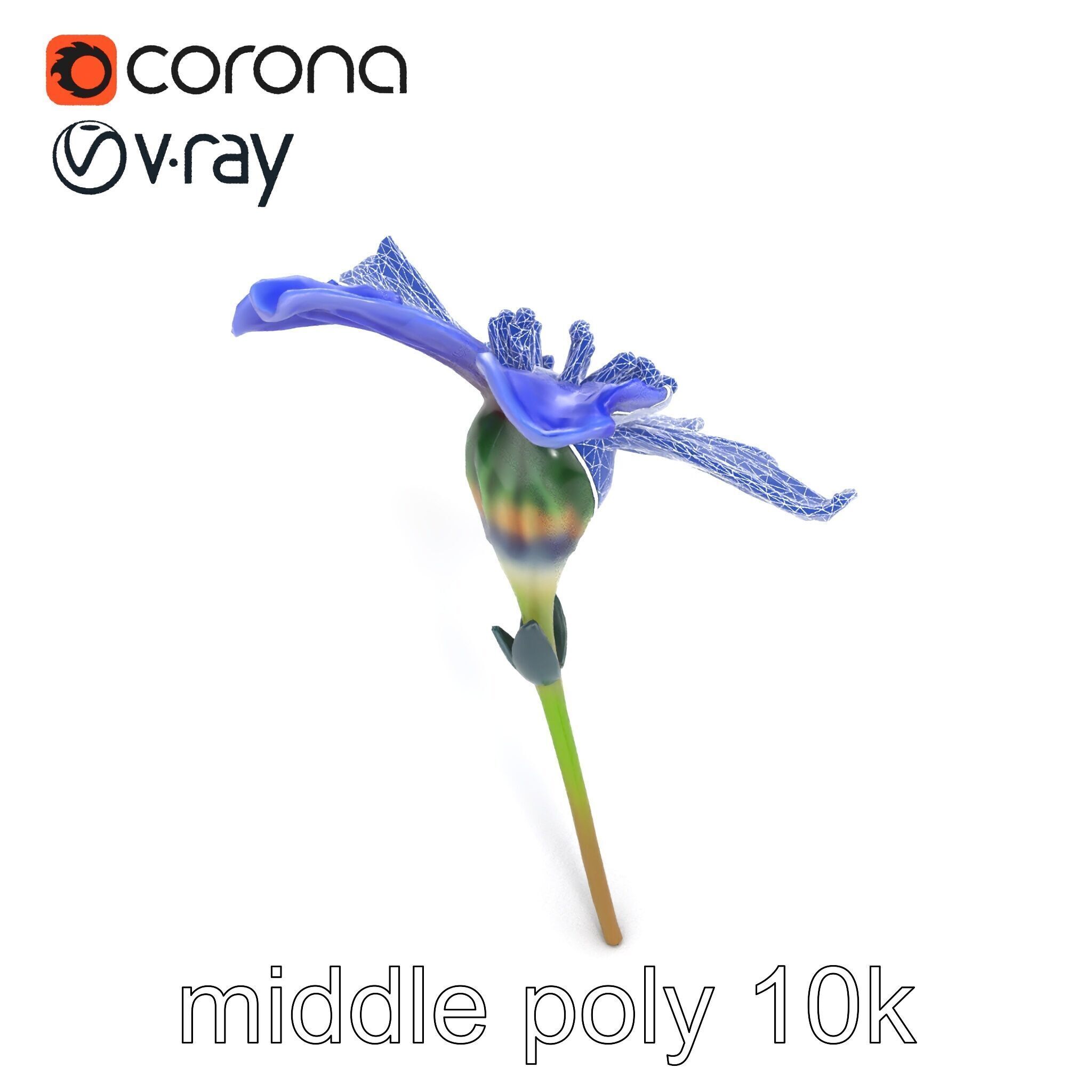 Lavandula Blue Flower Natural Texture model pack Low-poly 3D model_12
