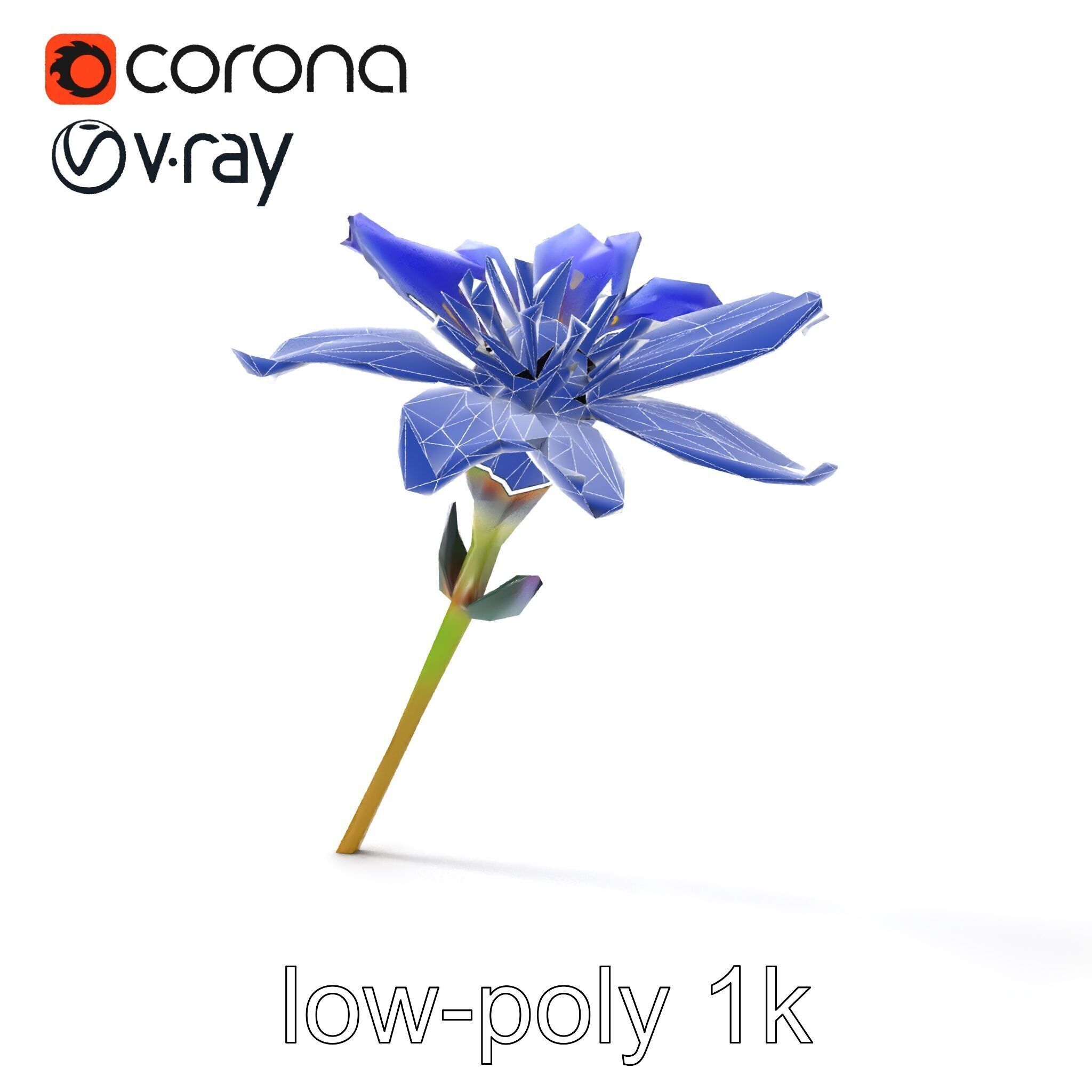Lavandula Blue Flower Natural Texture model pack Low-poly 3D model_18