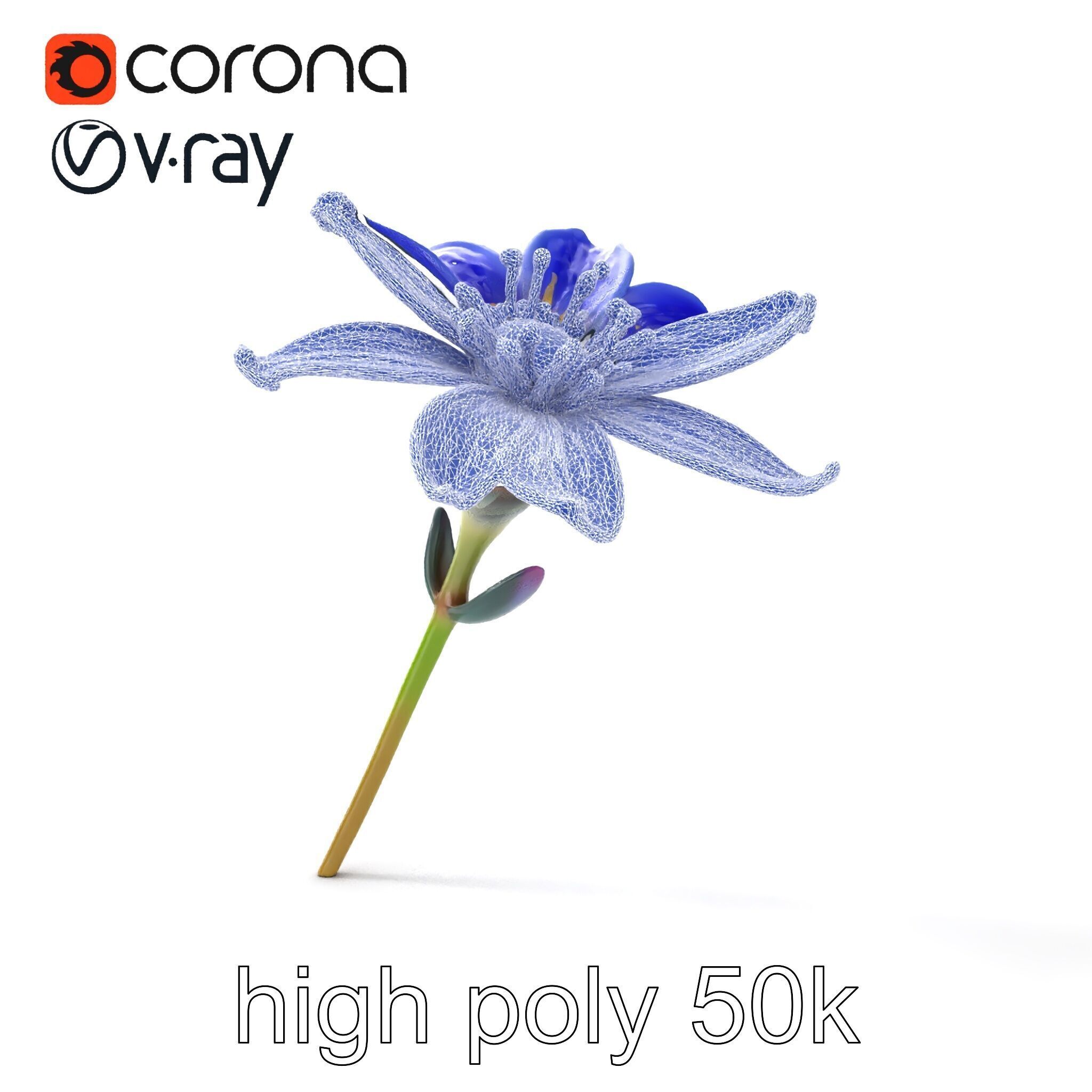 Lavandula Blue Flower Natural Texture model pack Low-poly 3D model_15