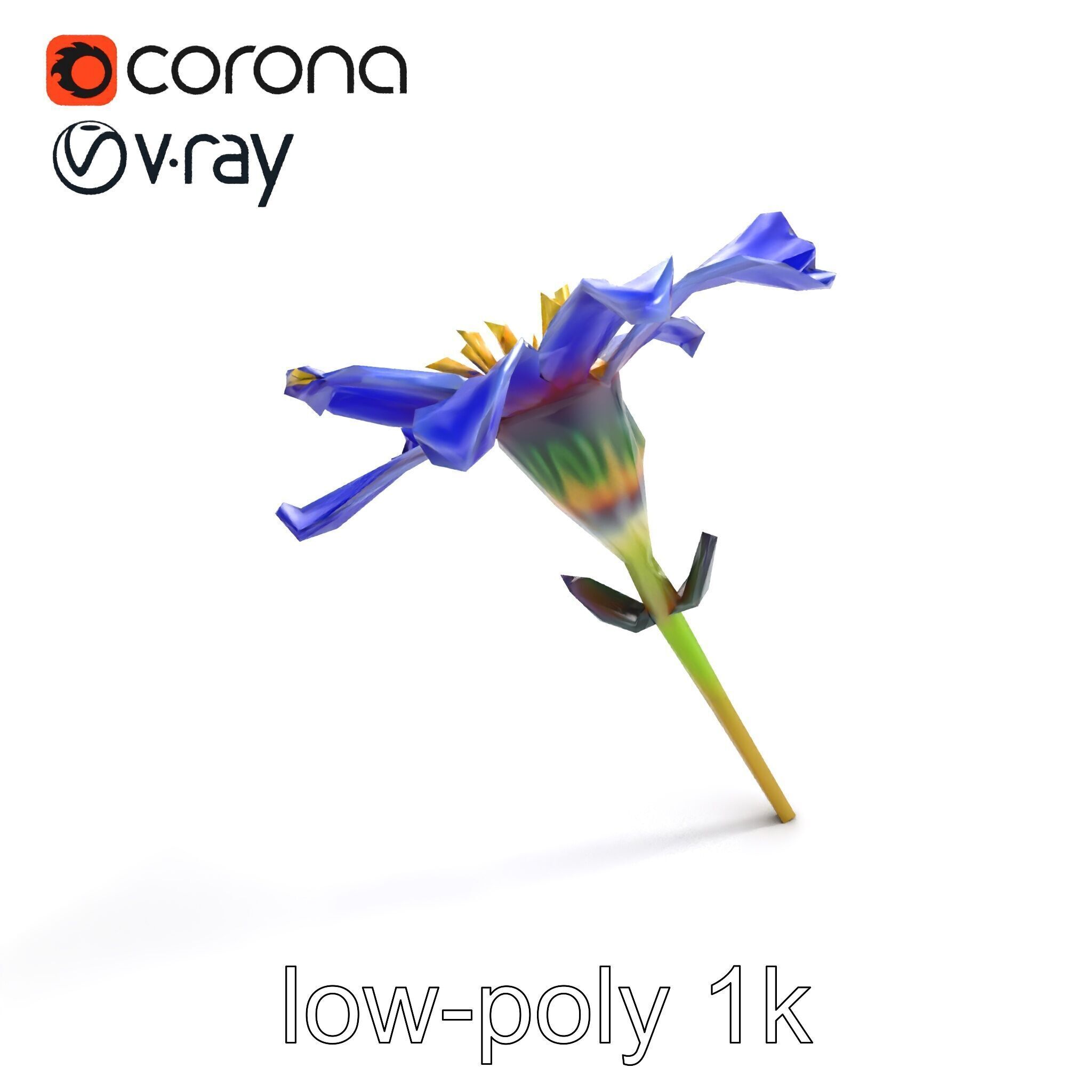 Lavandula Blue Flower Natural Texture model pack Low-poly 3D model_9