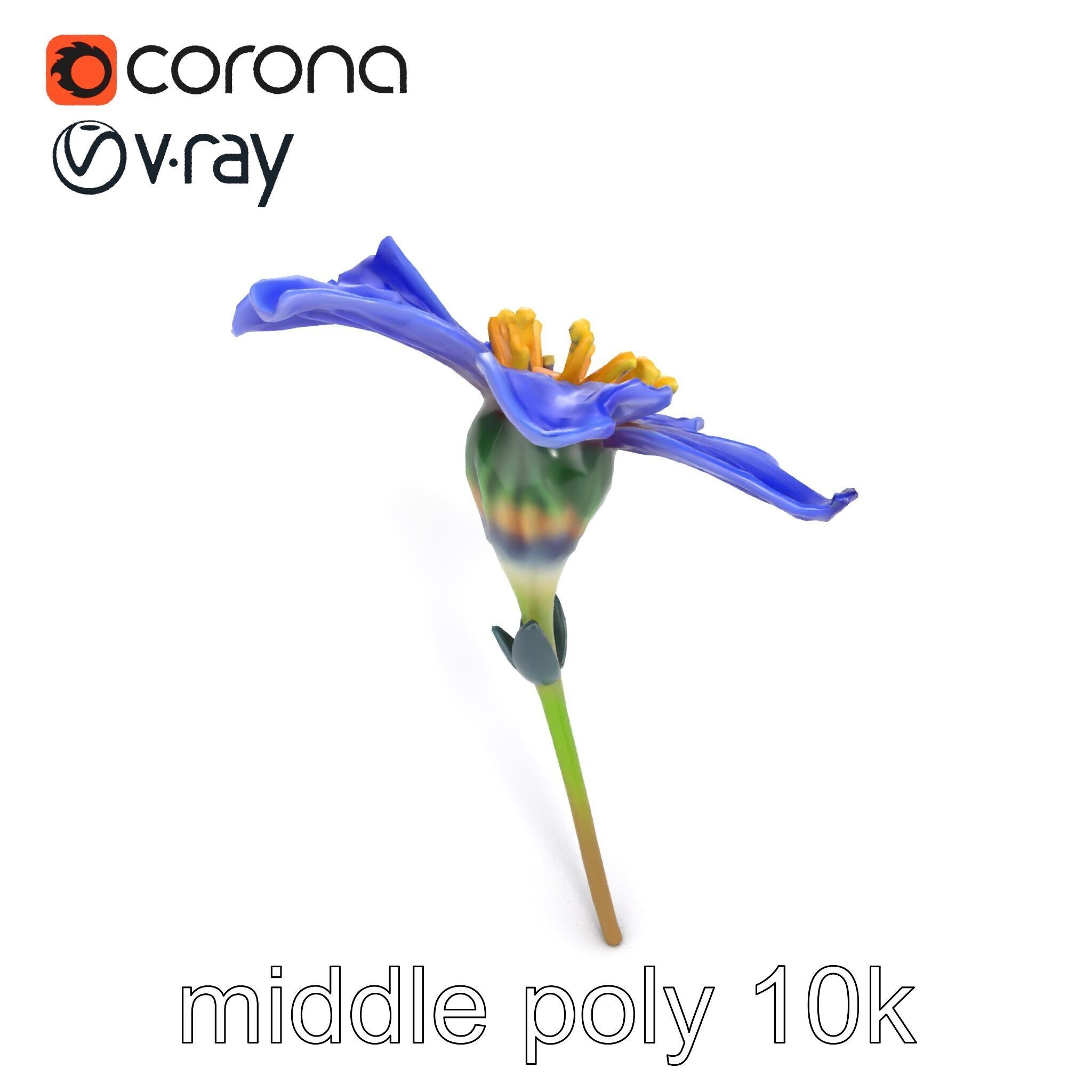 Lavandula Blue Flower Natural Texture model pack Low-poly 3D model_20