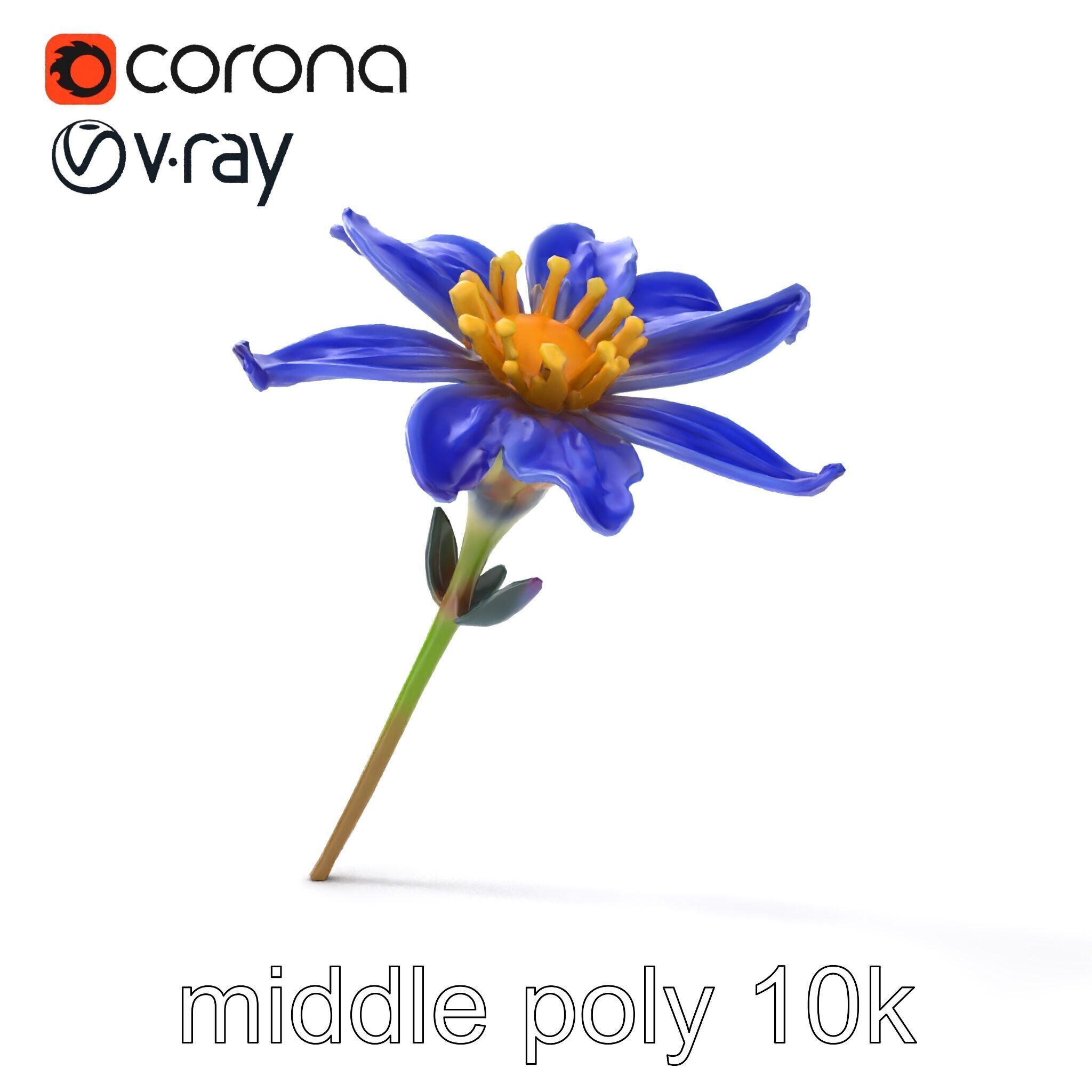 Lavandula Blue Flower Natural Texture model pack Low-poly 3D model_27