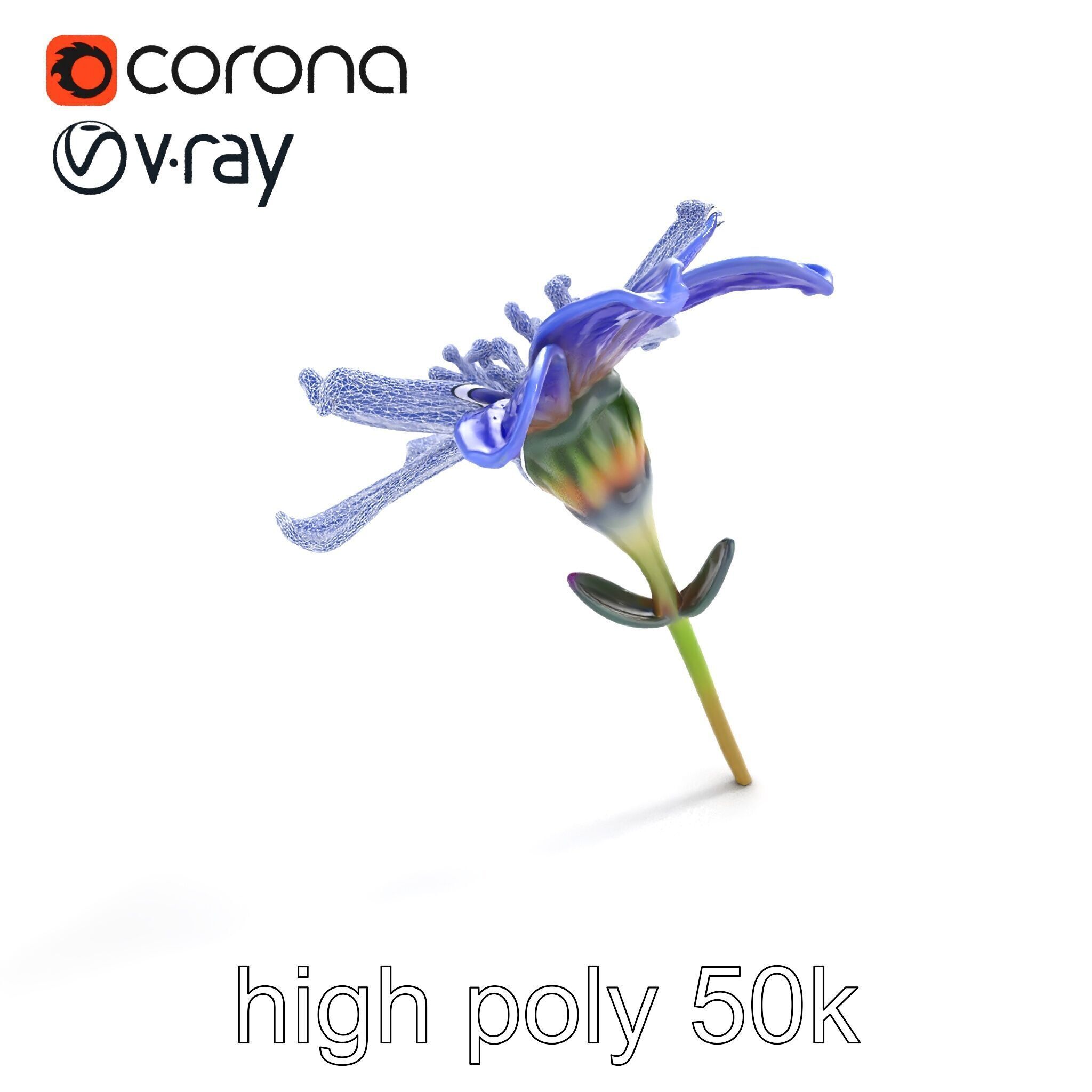 Lavandula Blue Flower Natural Texture model pack Low-poly 3D model_32