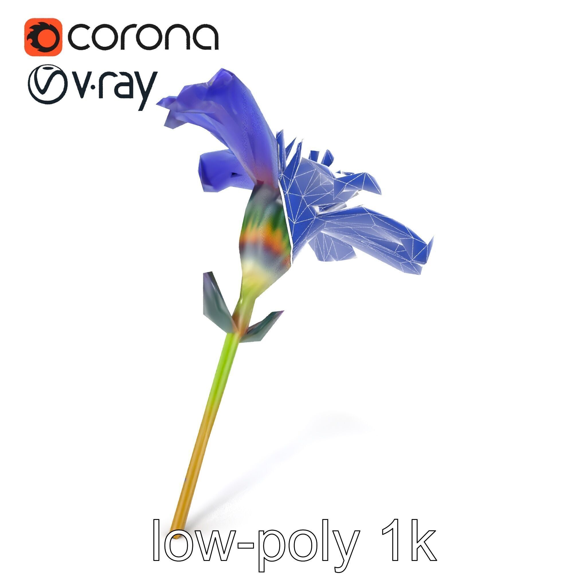 Lavandula Blue Flower Natural Texture model pack Low-poly 3D model_22