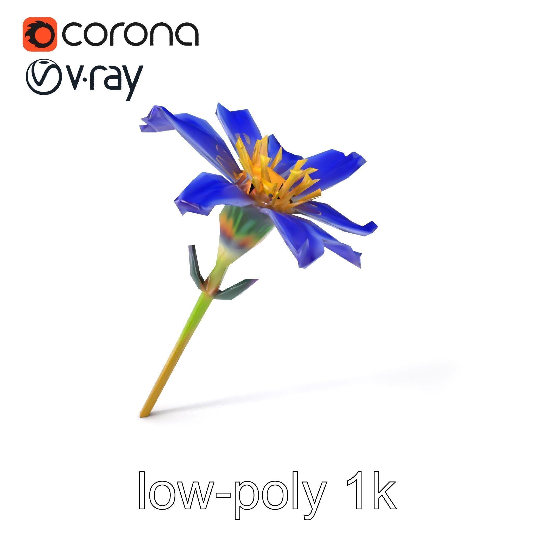 Lavandula Blue Flower Natural Texture model pack Low-poly 3D model_5