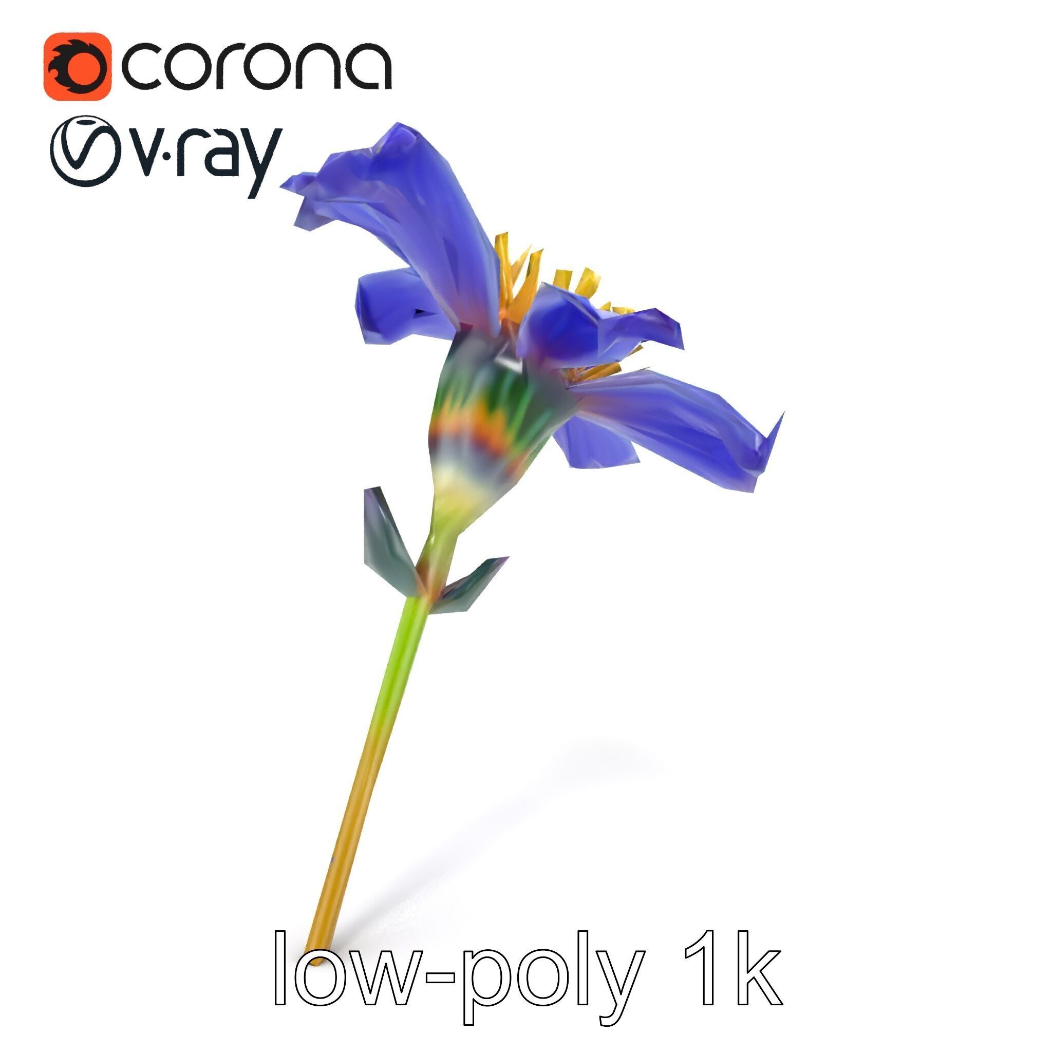 Lavandula Blue Flower Natural Texture model pack Low-poly 3D model_28